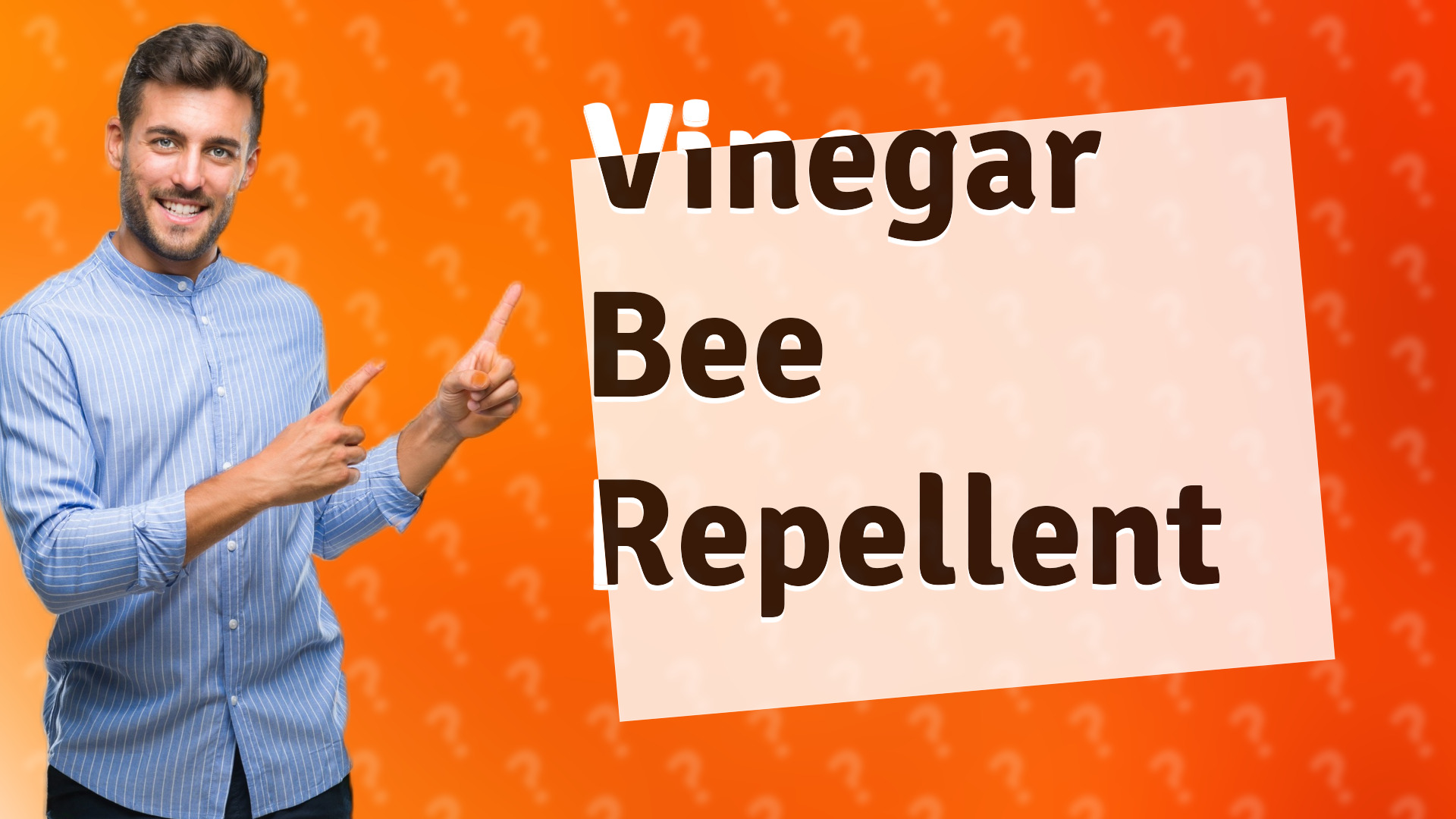 Vinegar Bee Repellent
