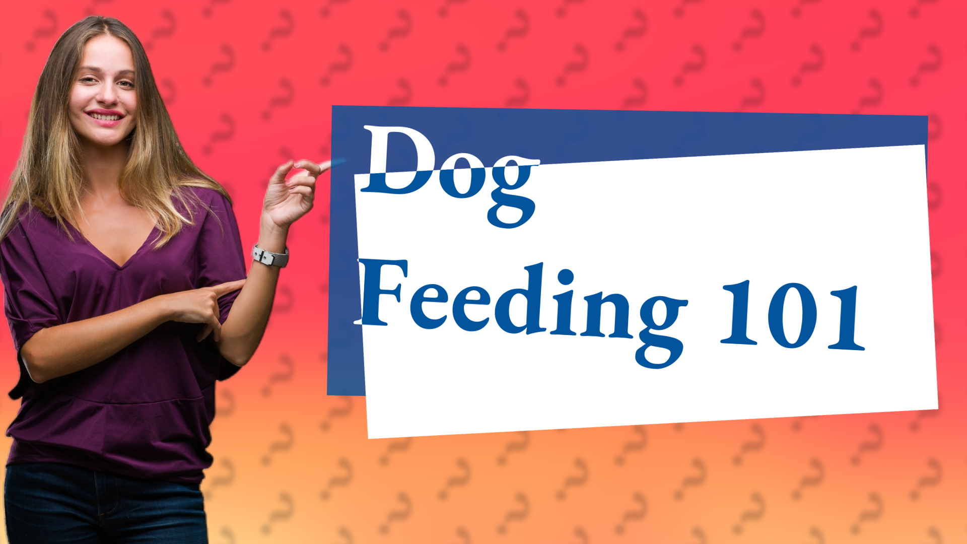 Dog Feeding 101