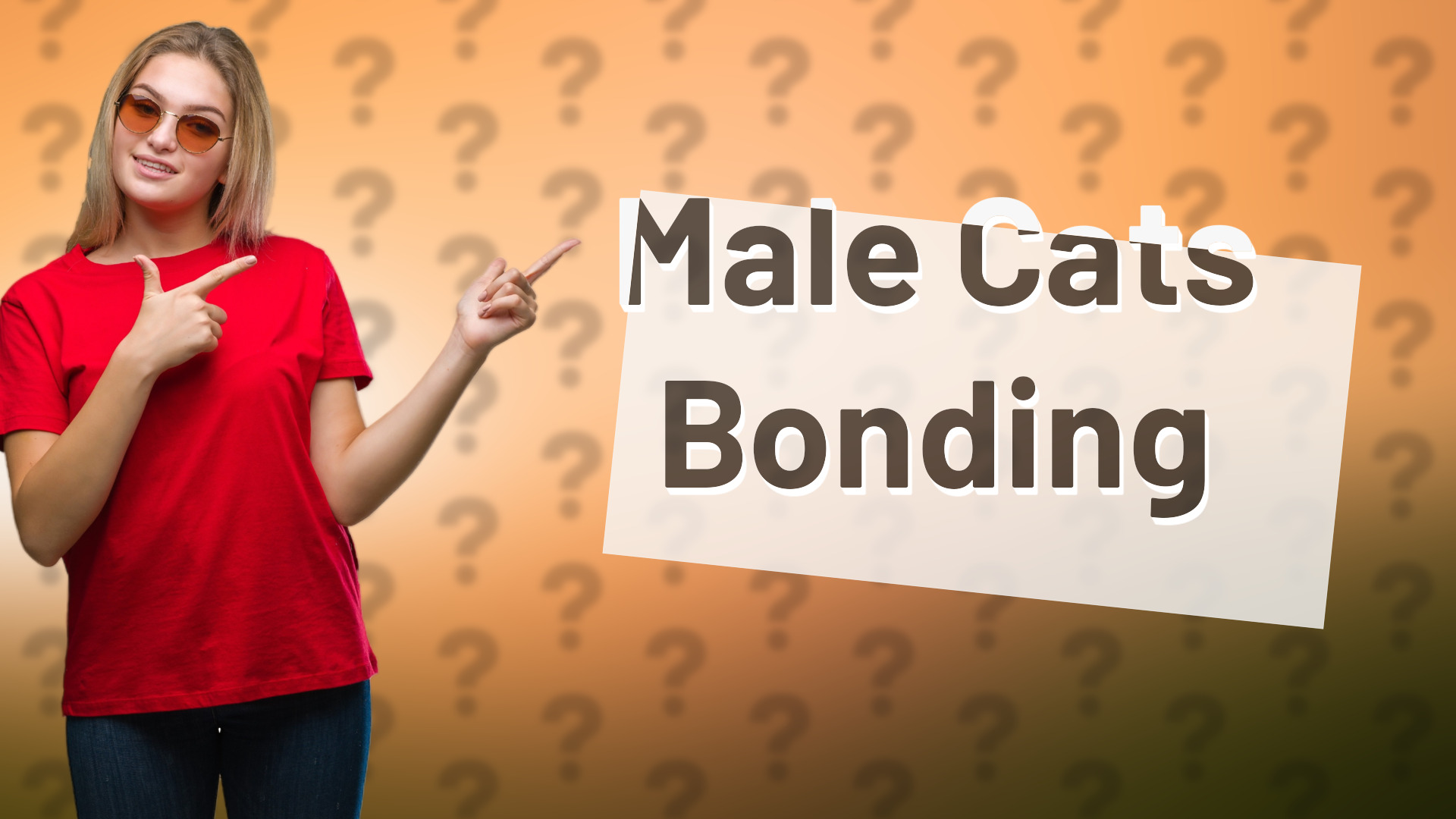 Male Cats Bonding