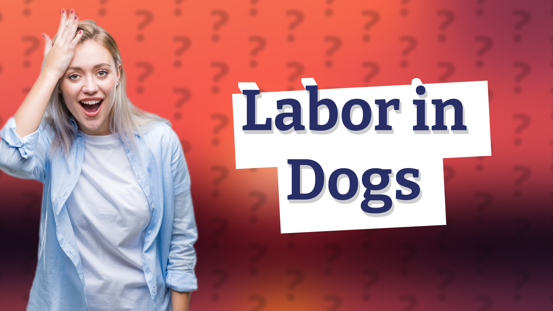 Labor in Dogs