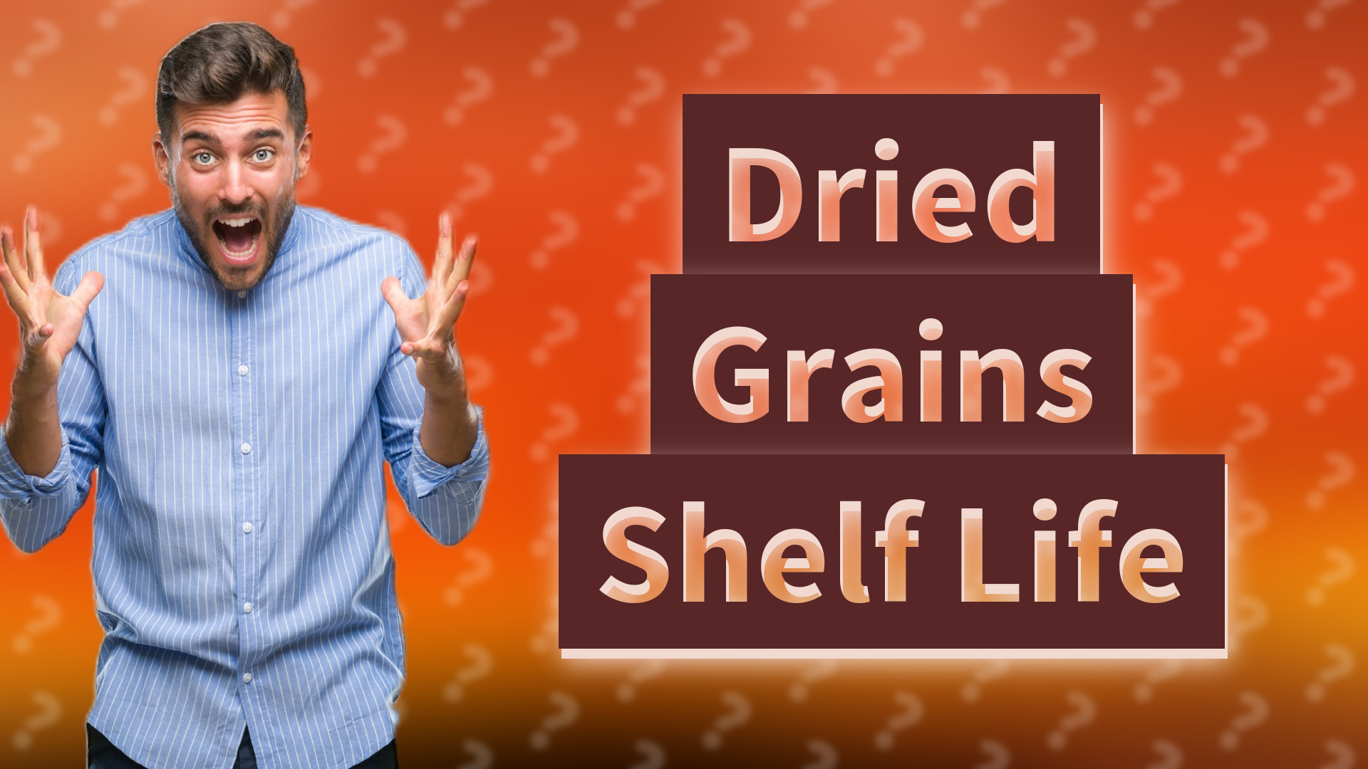 Dried Grains Shelf Life