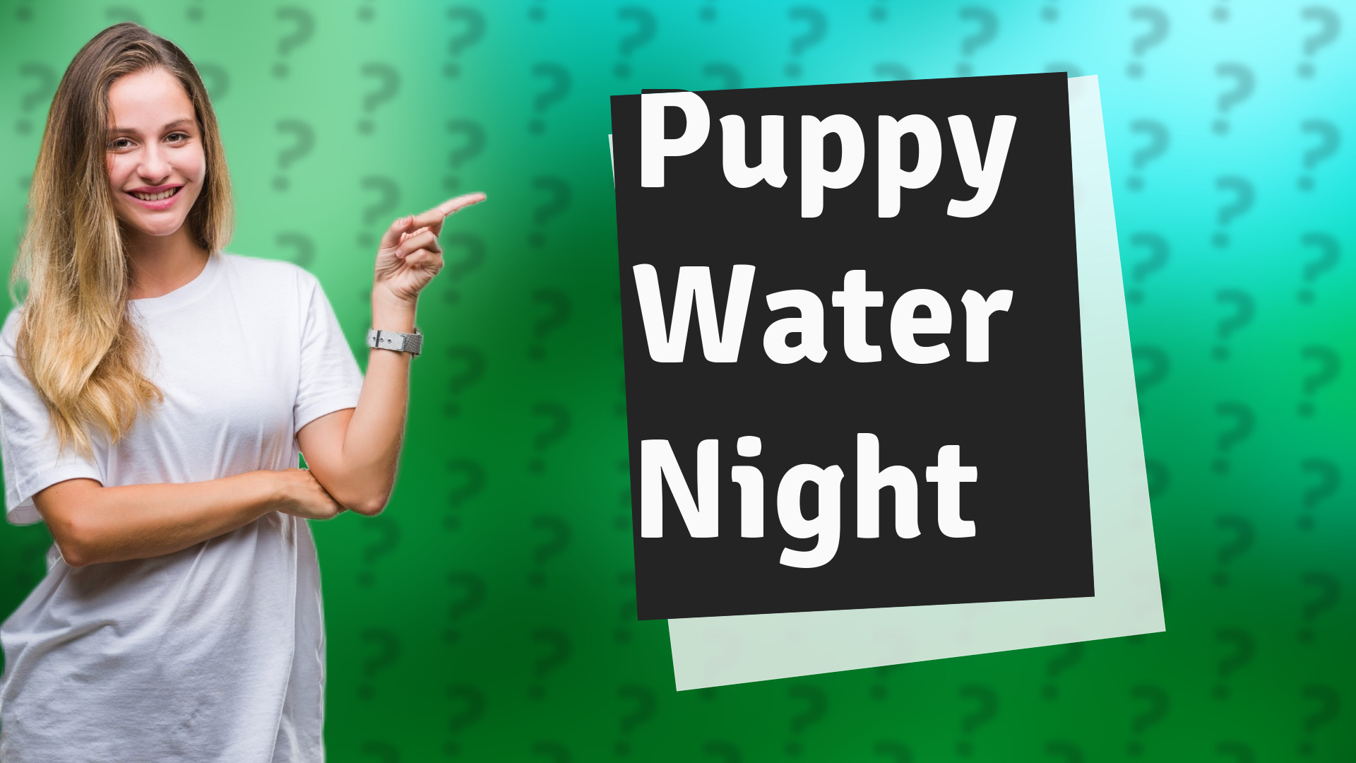 Puppy Water Night