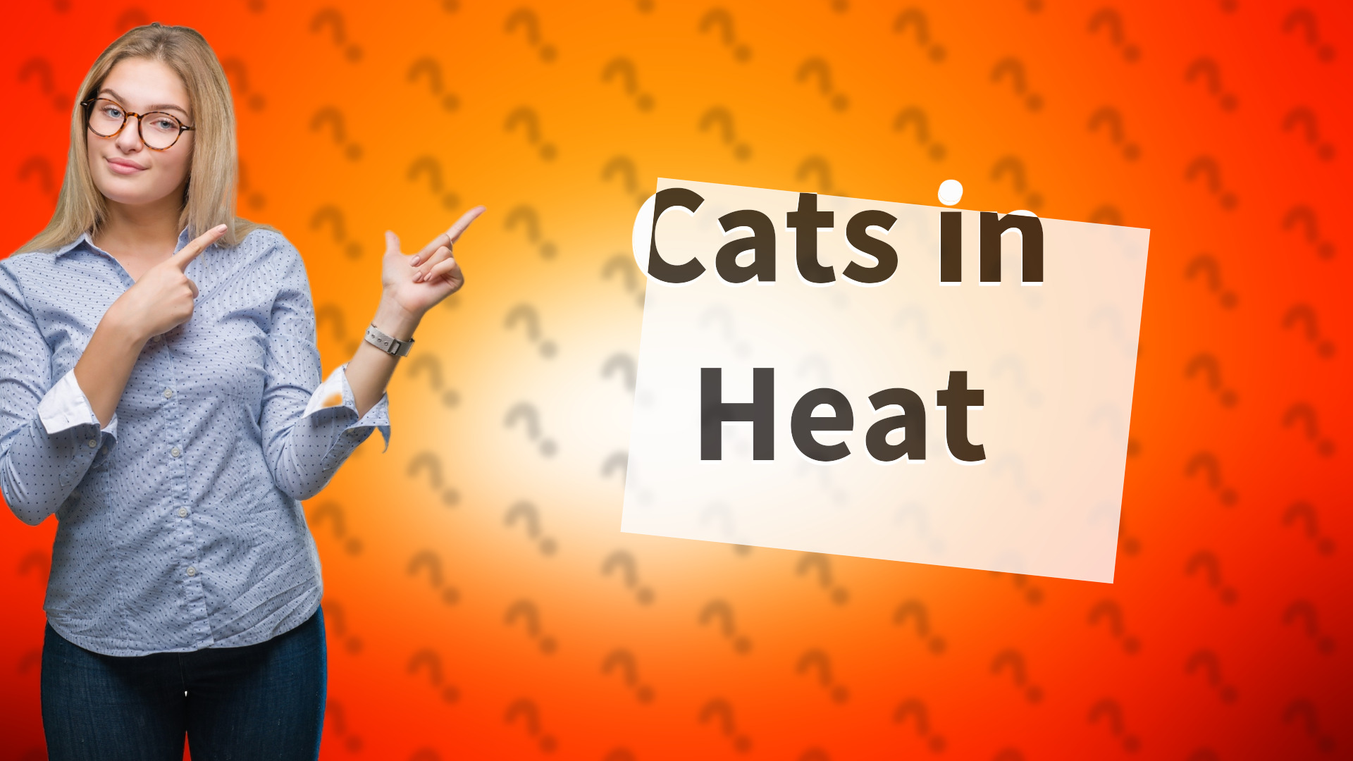 Cats in Heat