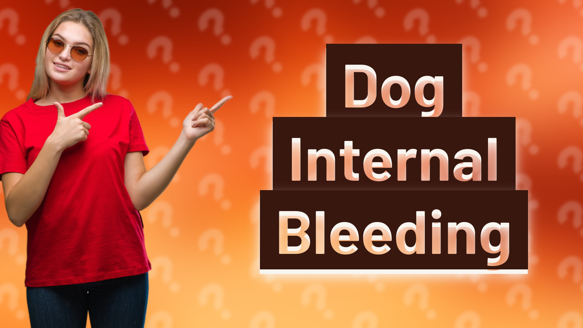 Dog Internal Bleeding