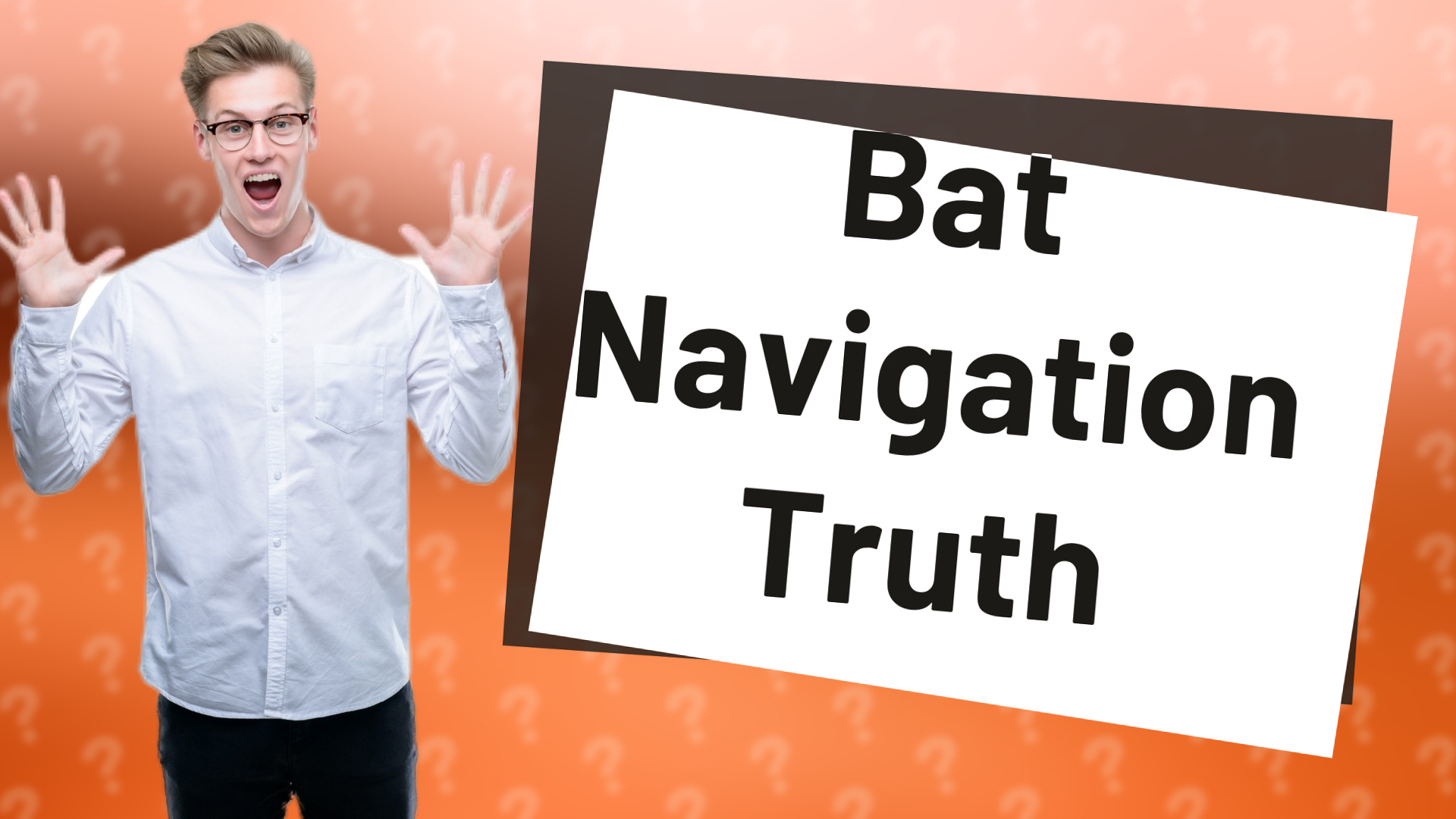 Bat Navigation Truth