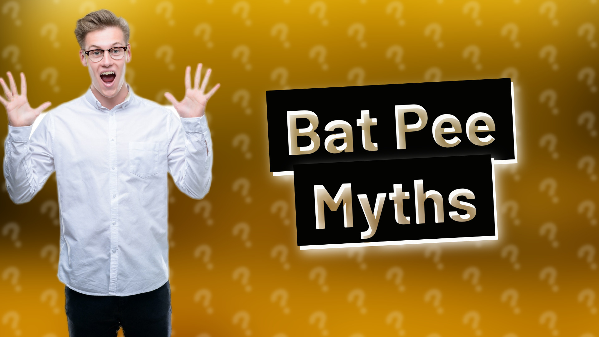 Bat Pee Myths