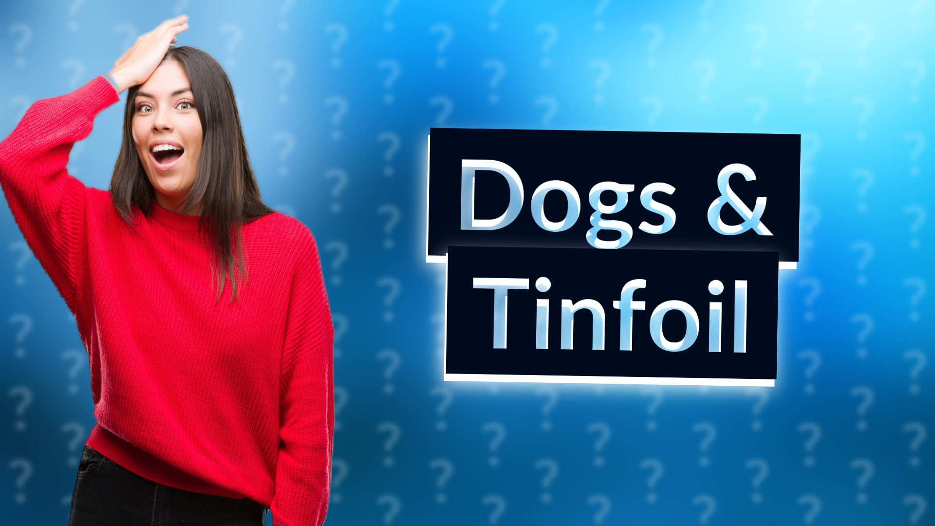 Dogs & Tinfoil