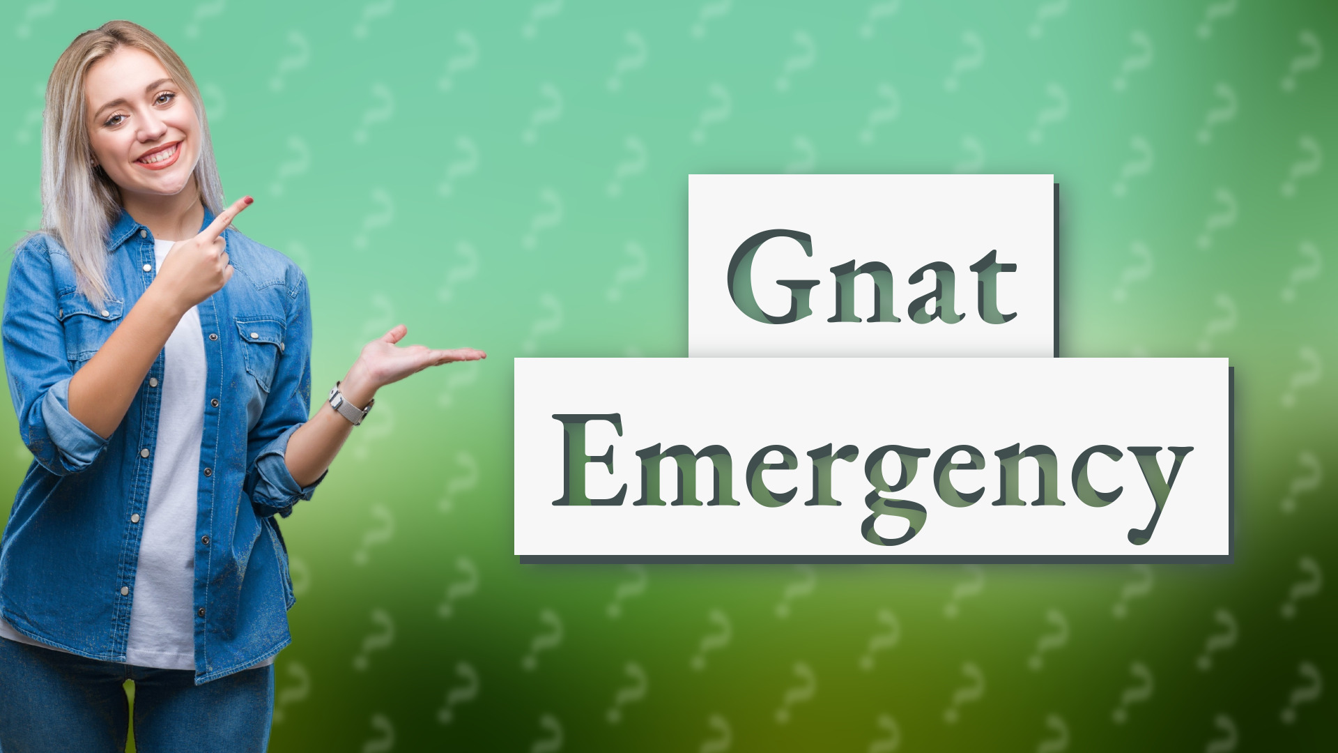 Gnat Emergency