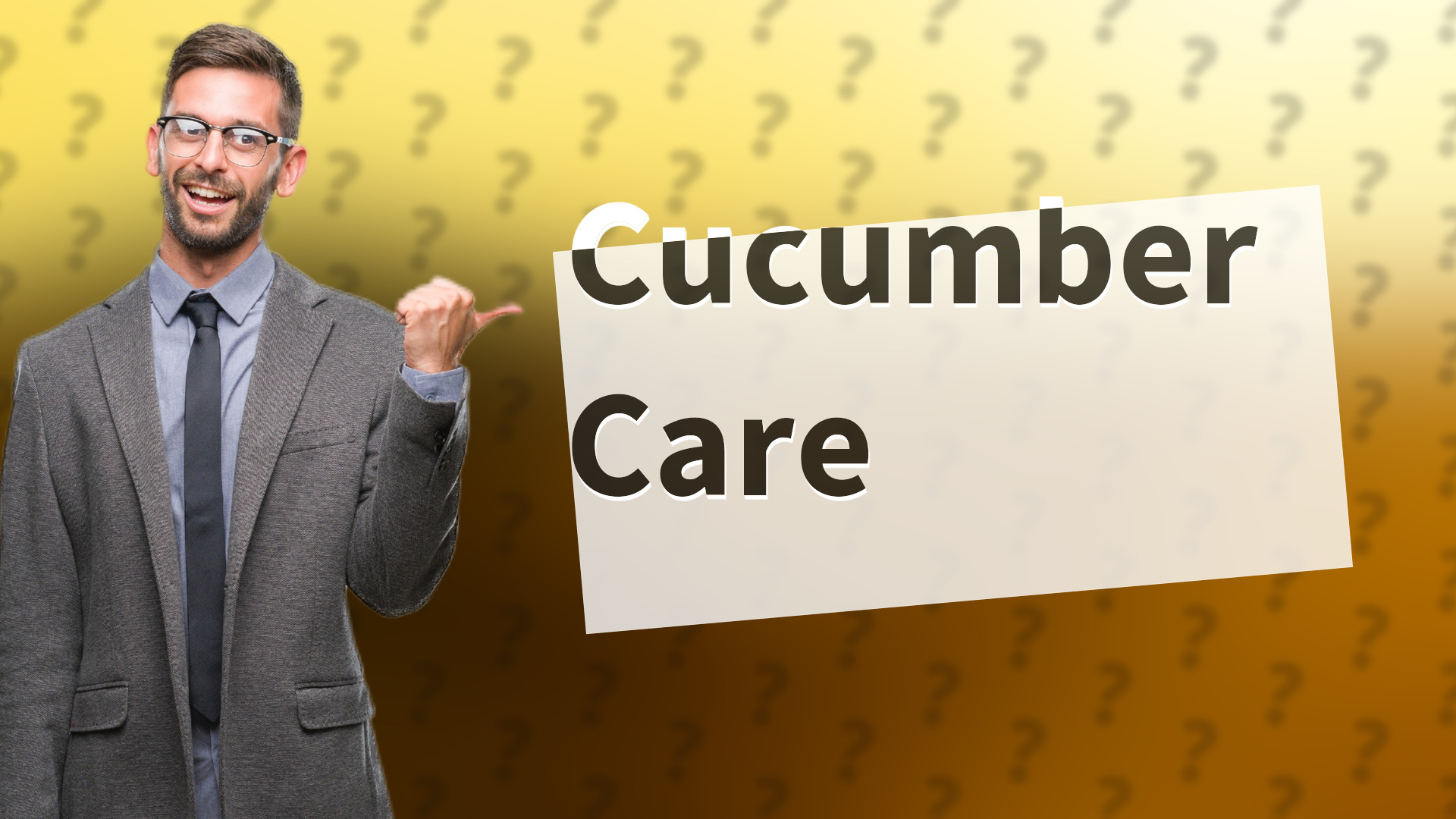 Cucumber Care