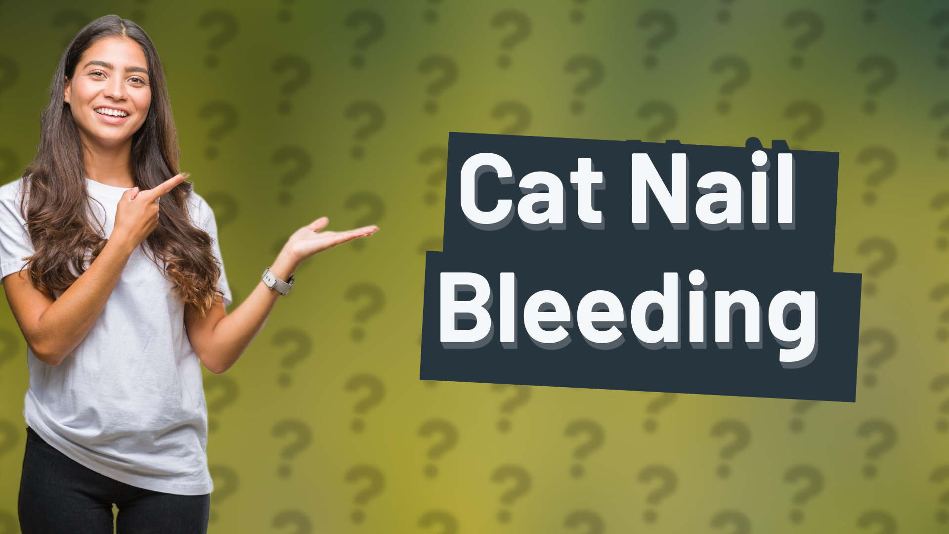 Cat Nail Bleeding