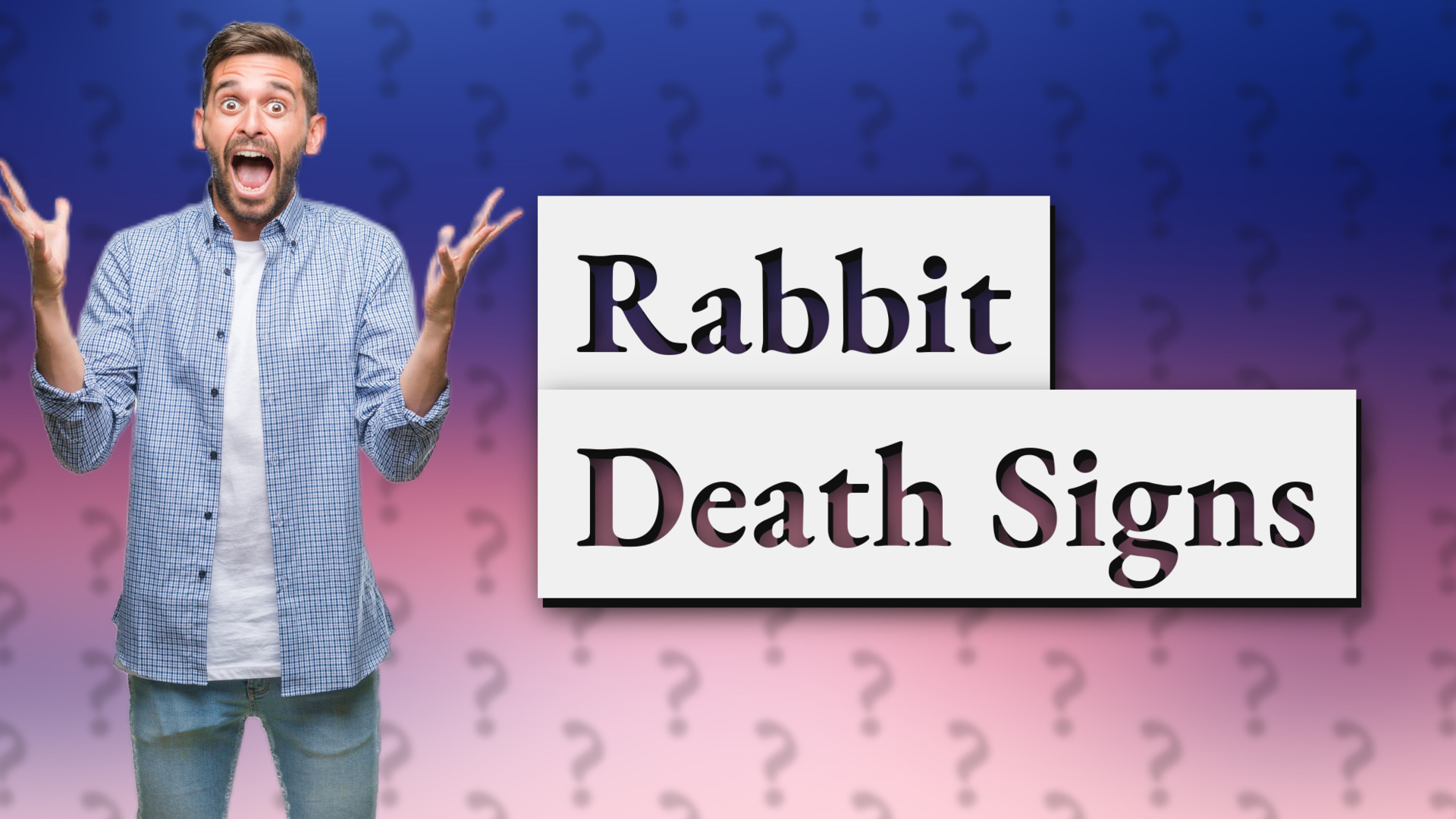 Rabbit Death Signs