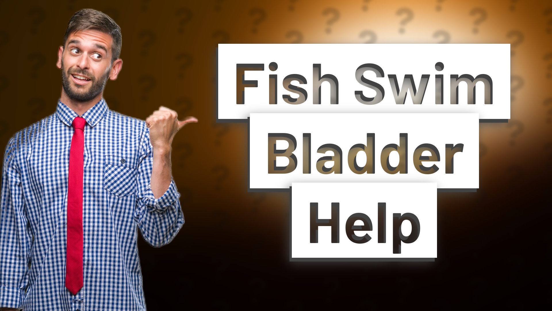 Fish Swim Bladder Help