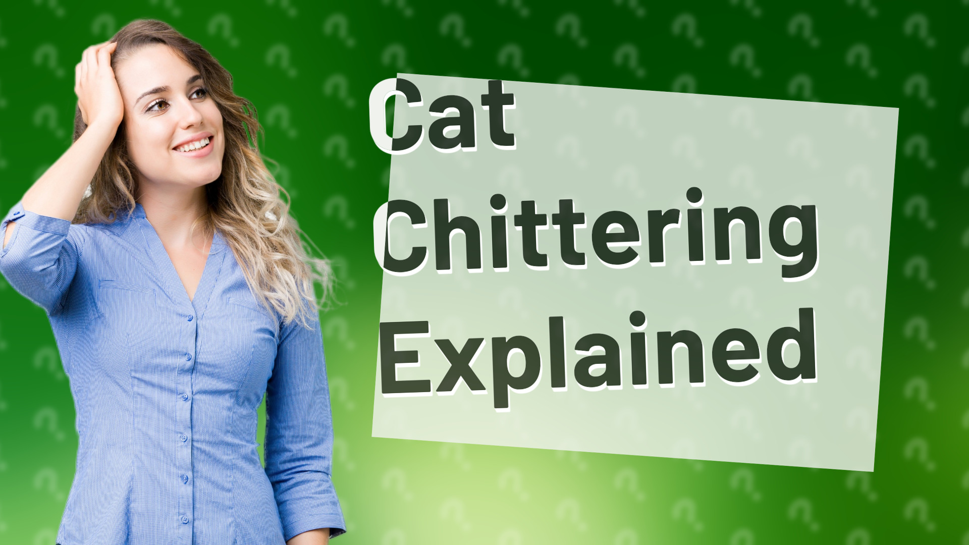 Cat Chittering Explained