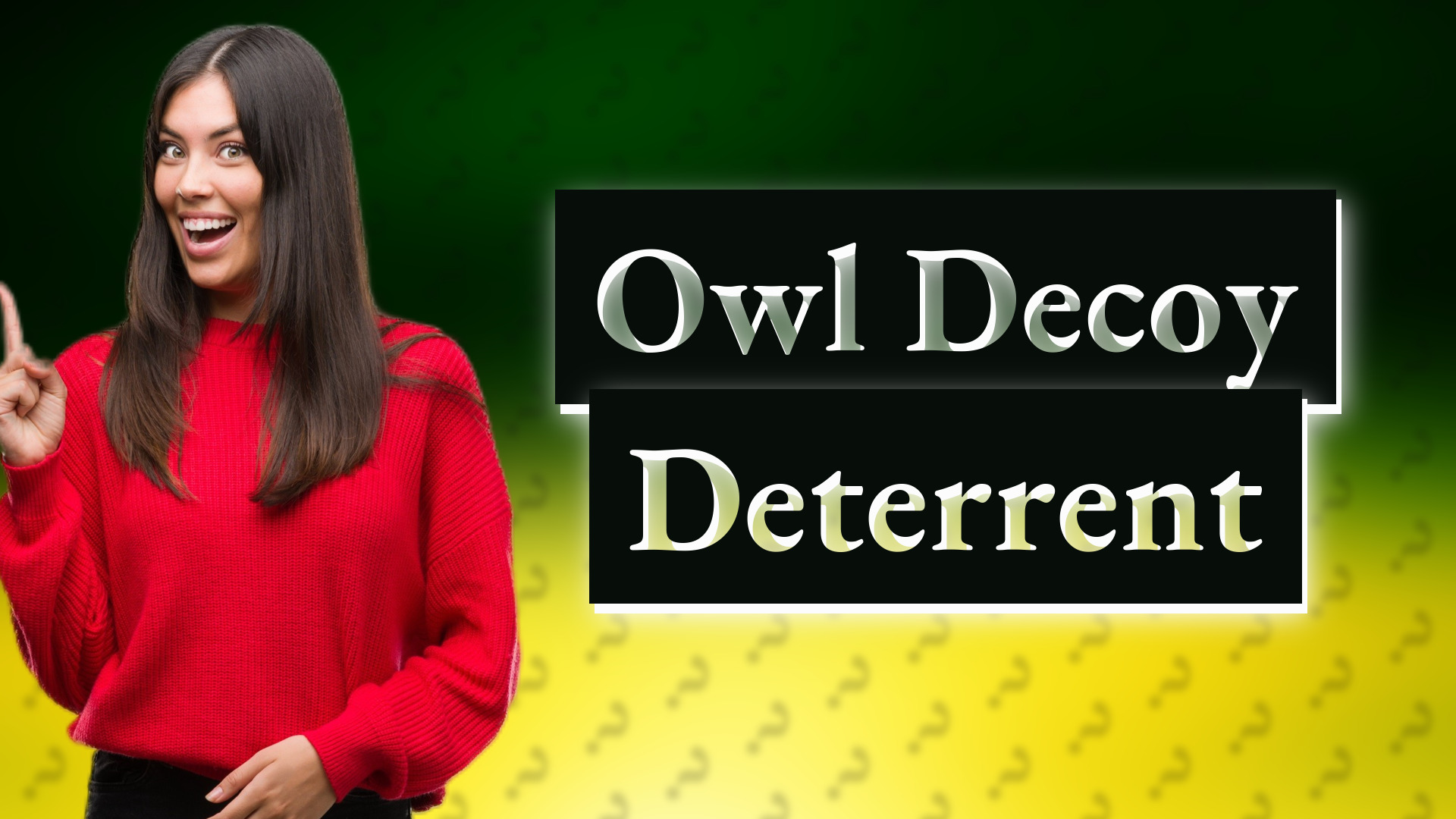 Owl Decoy Deterrent