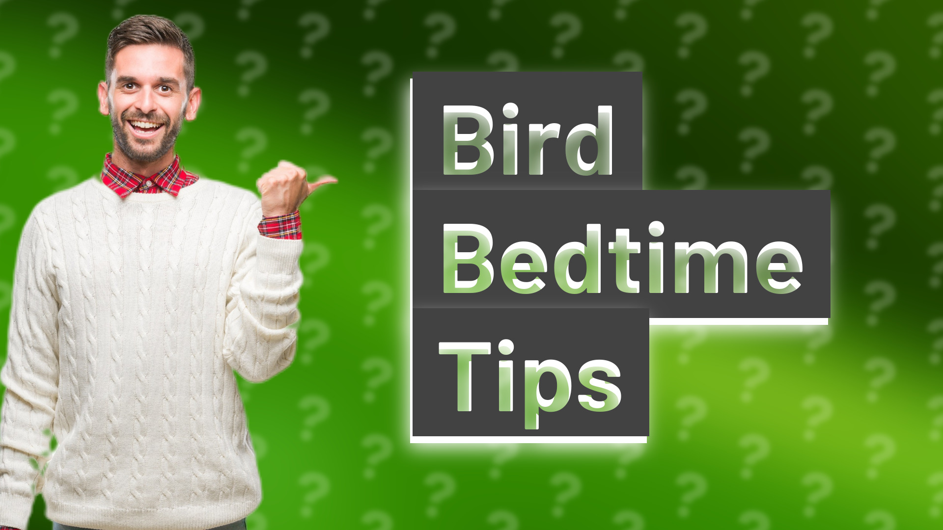 Bird Bedtime Tips
