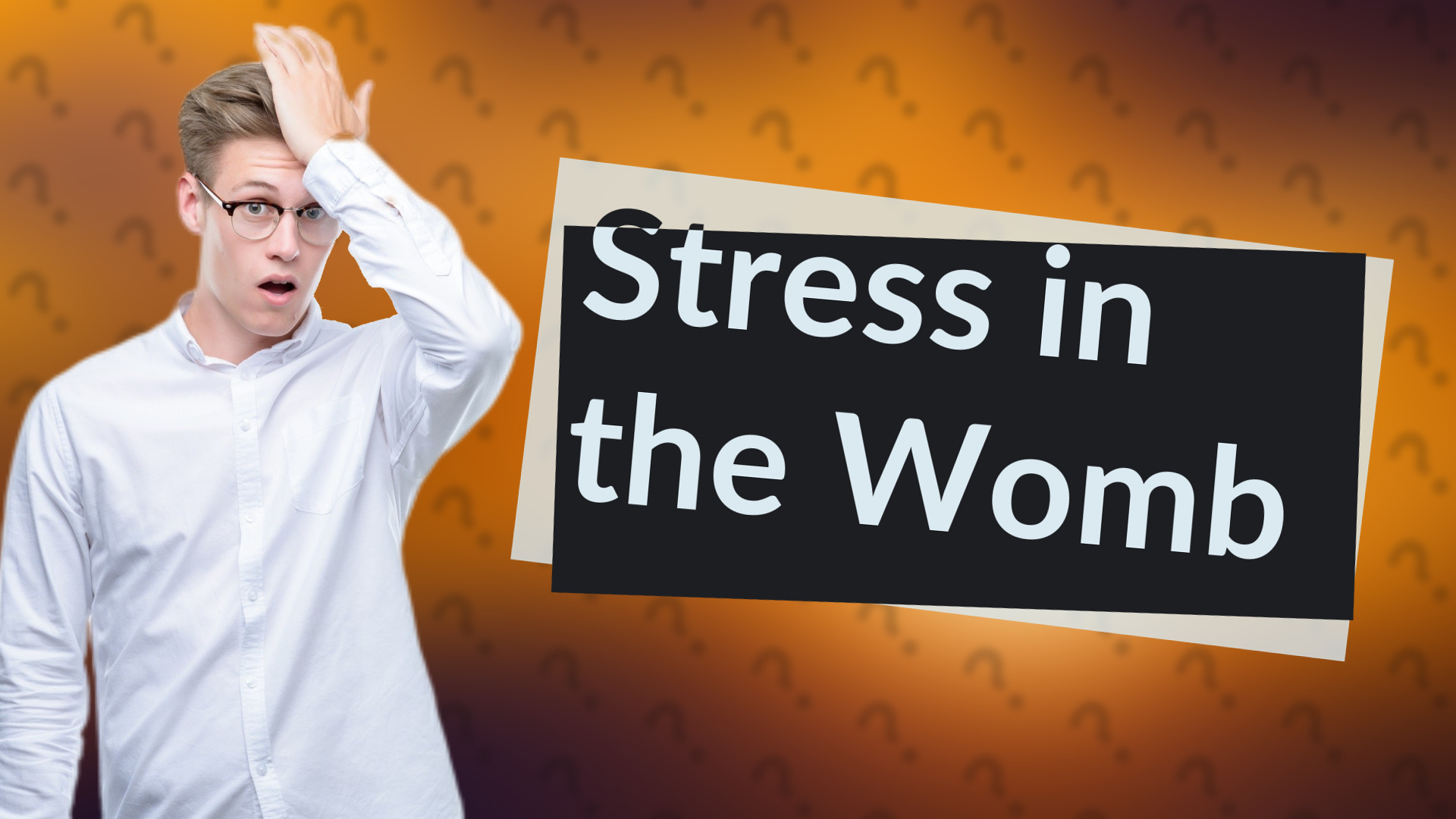 Stress in the Womb