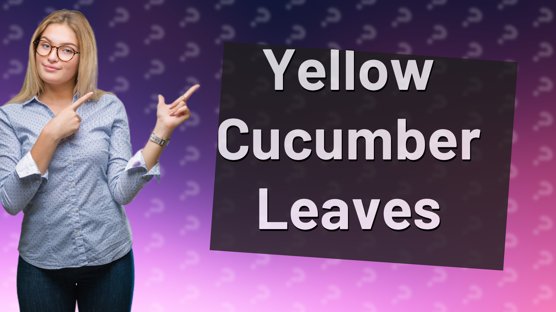 Yellow Cucumber Leaves