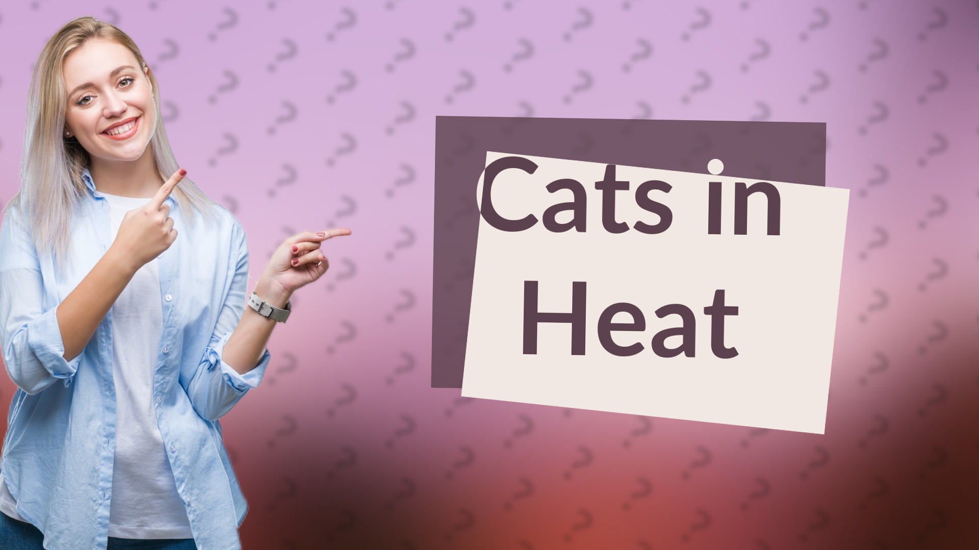 Cats in Heat