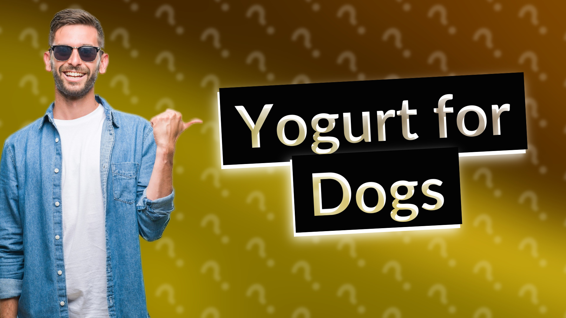 Yogurt for Dogs