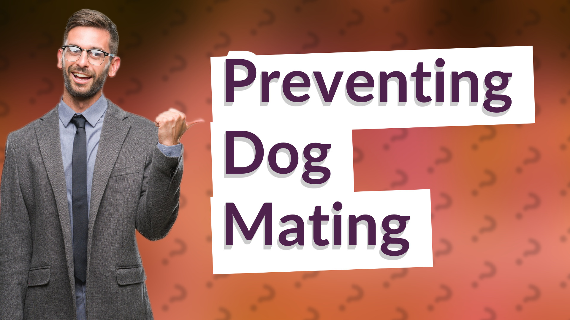 Preventing Dog Mating