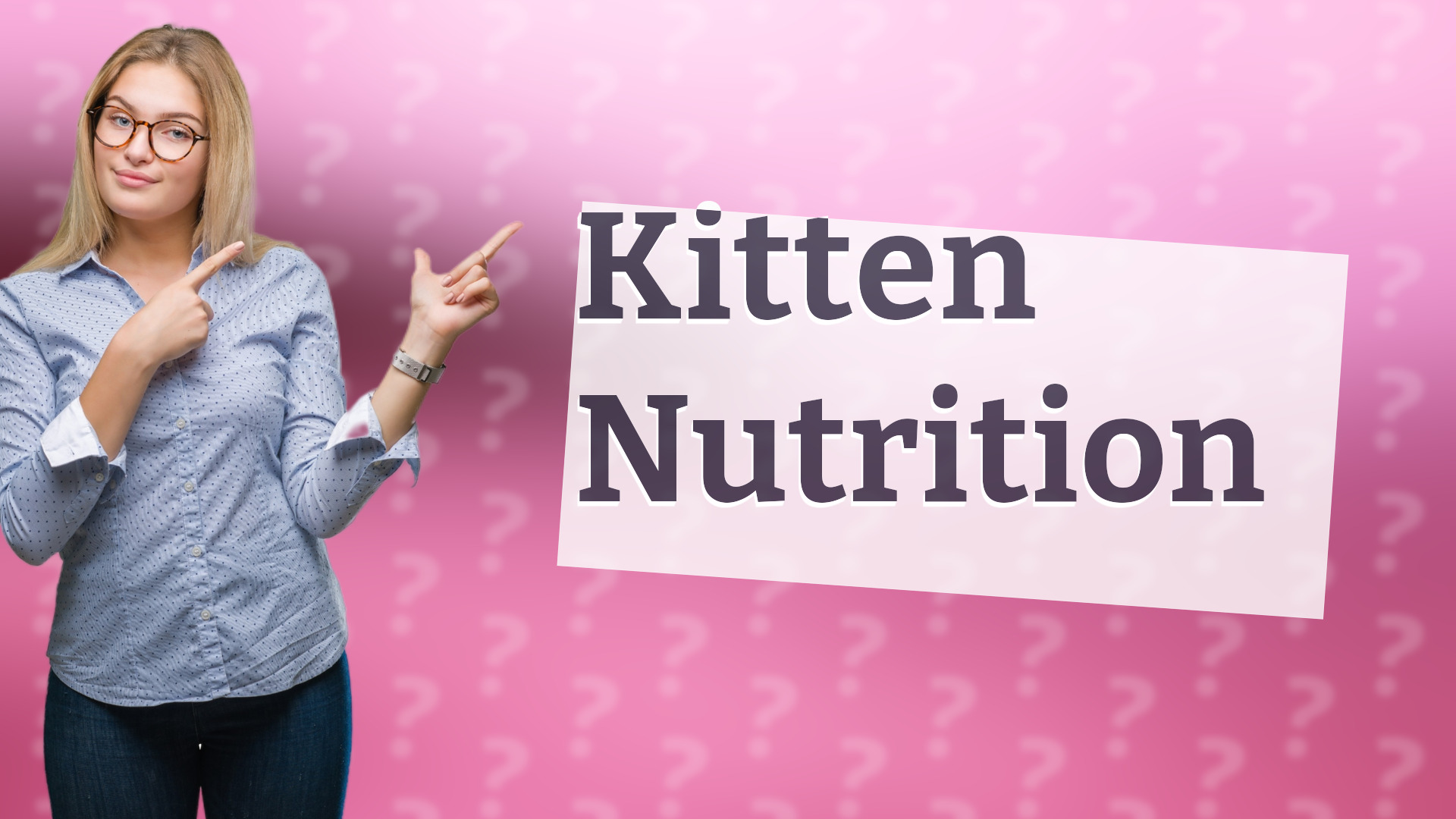 Kitten Nutrition