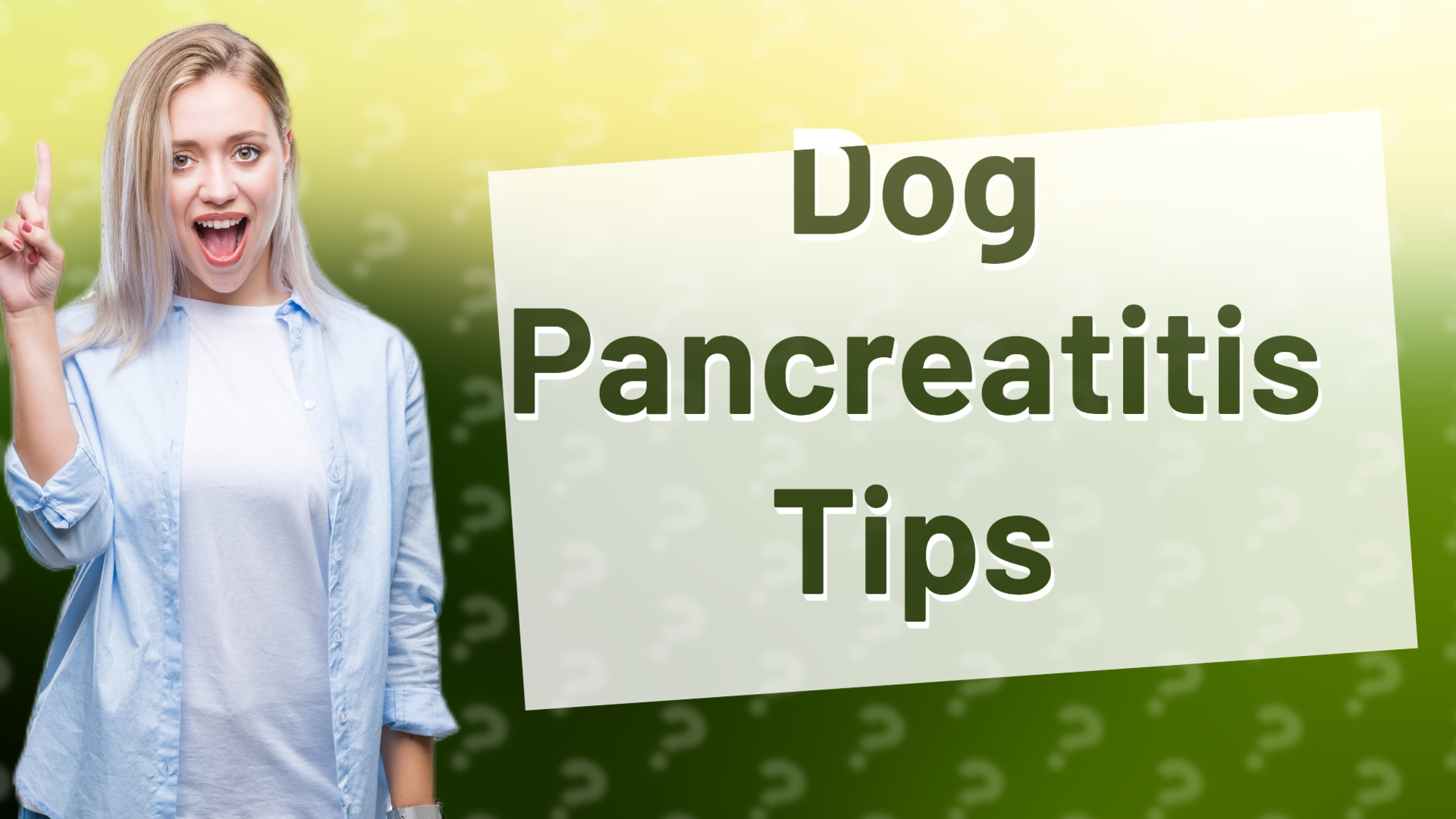 Dog Pancreatitis Tips