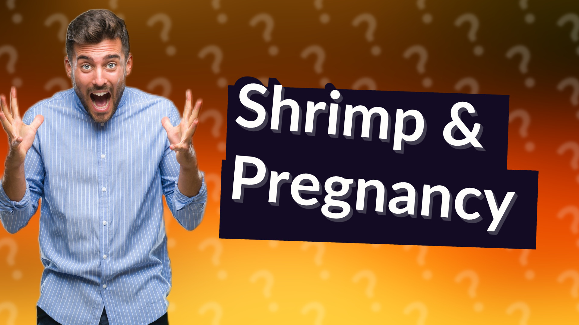 Shrimp & Pregnancy