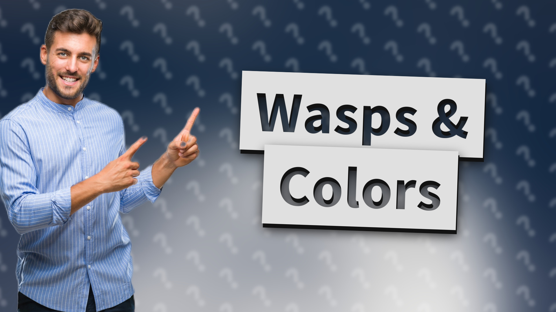 Wasps & Colors
