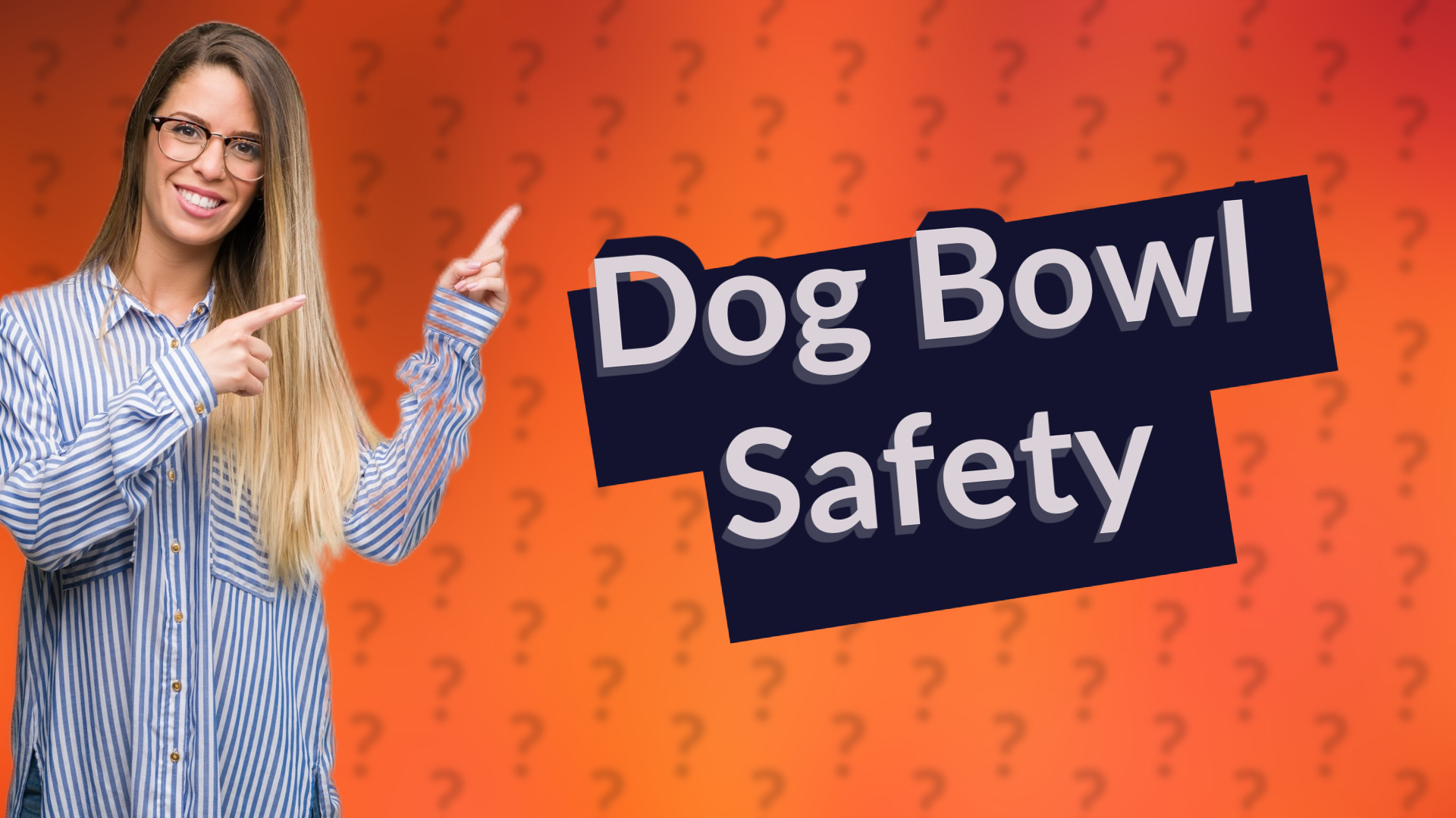 Dog Bowl Safety