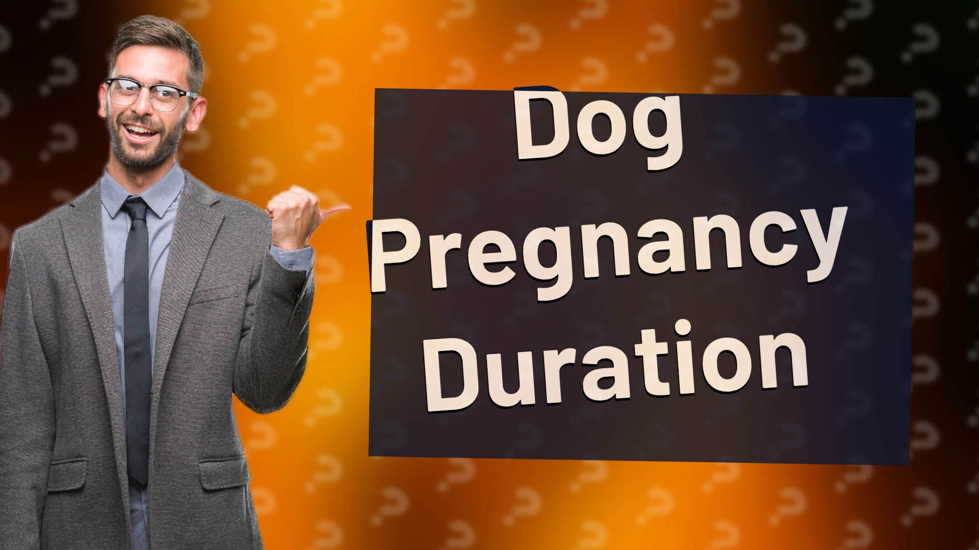 Dog Pregnancy Duration