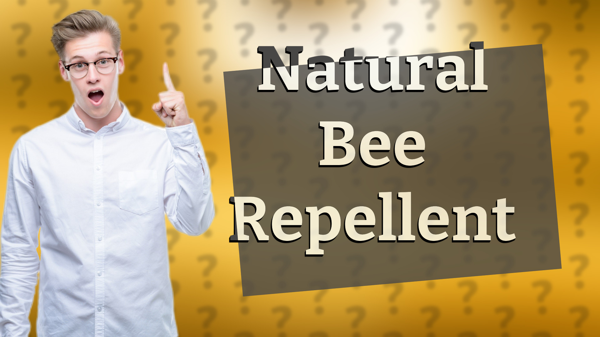 Natural Bee Repellent