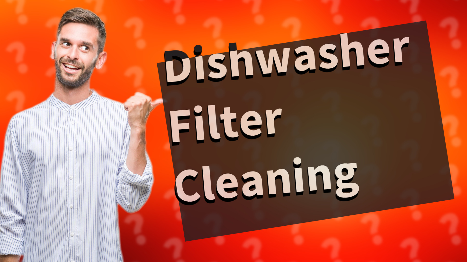 Dishwasher Filter Cleaning