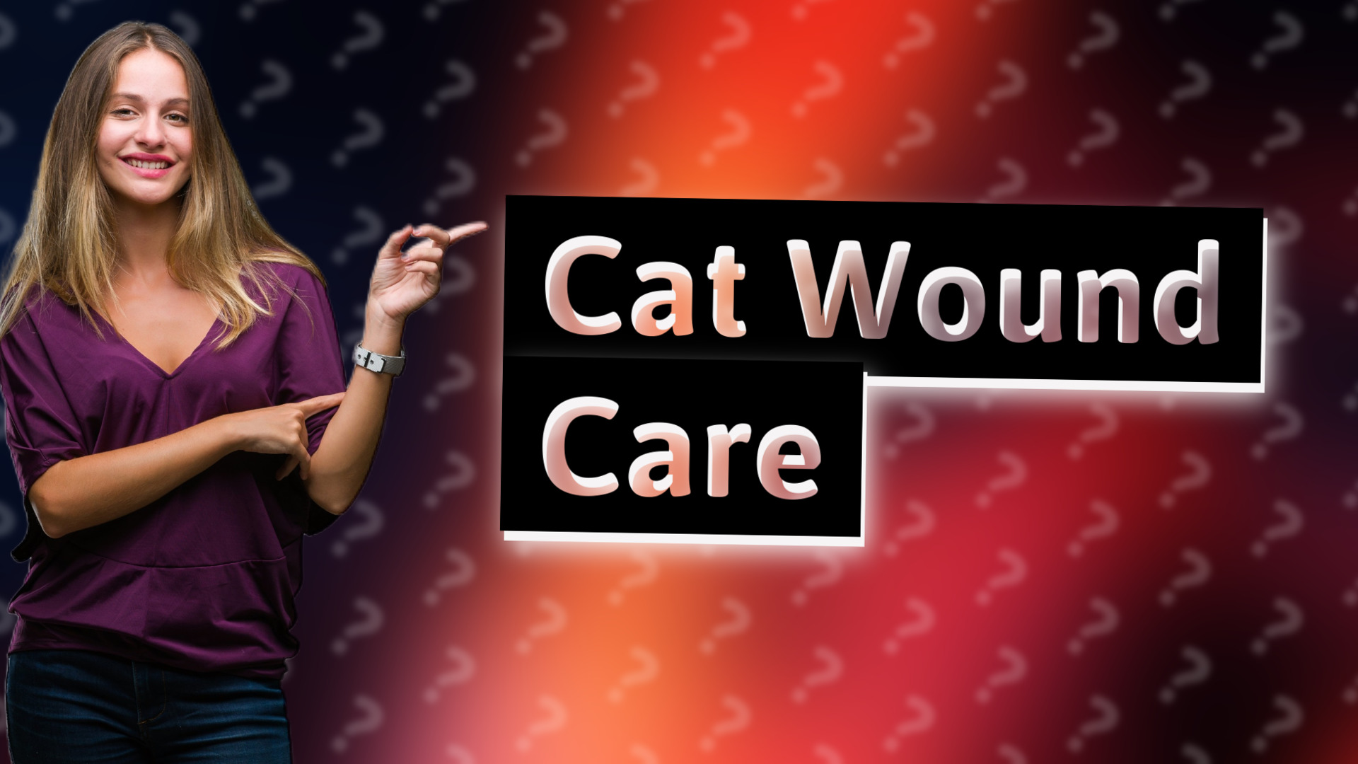 Cat Wound Care