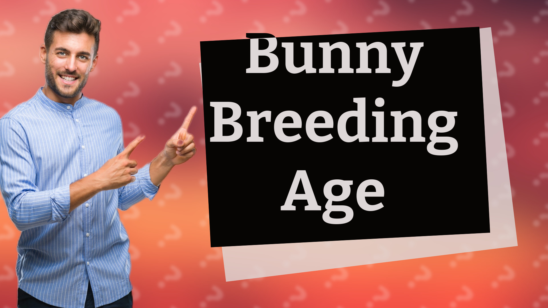 Bunny Breeding Age