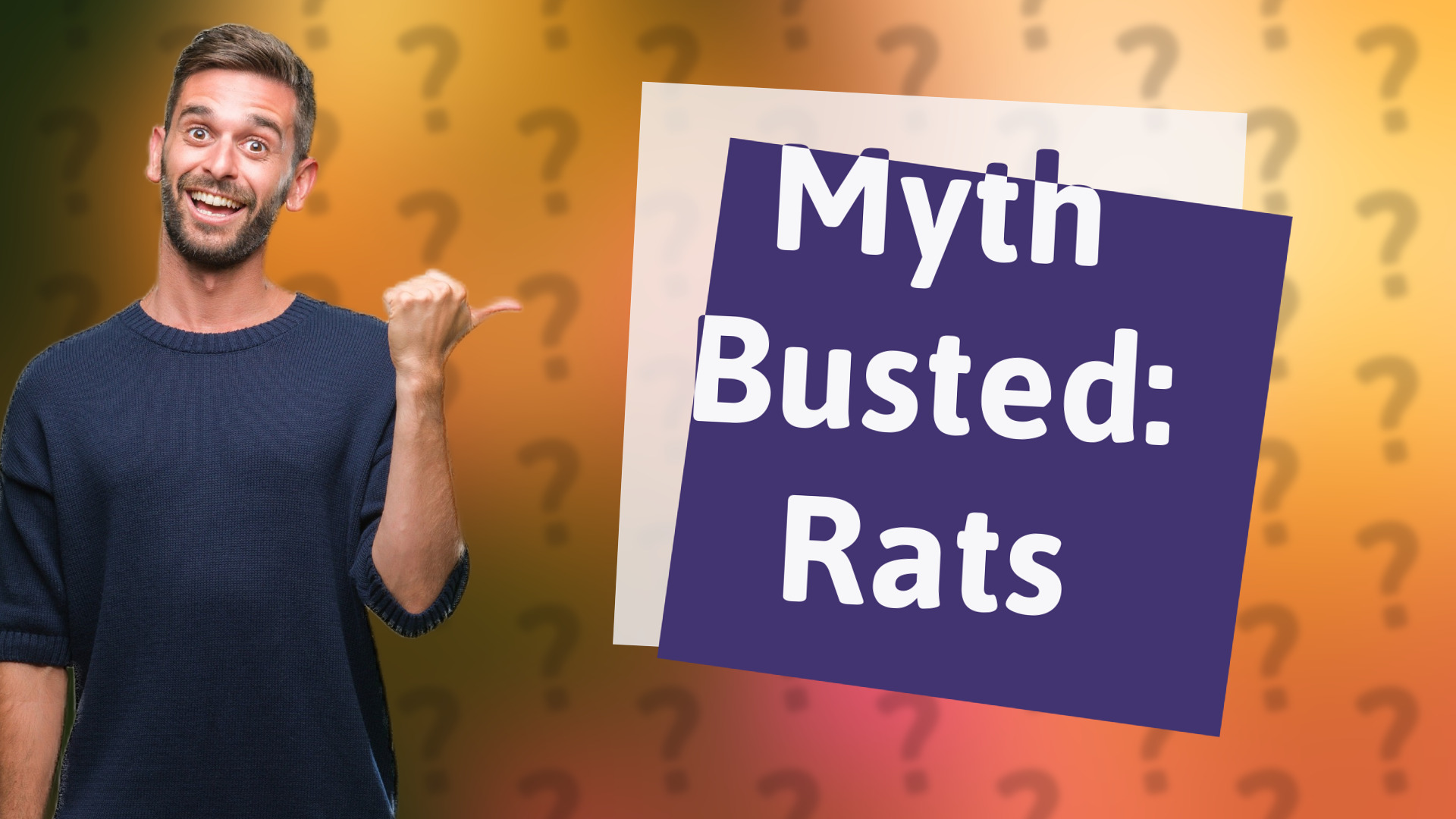 Myth Busted: Rats