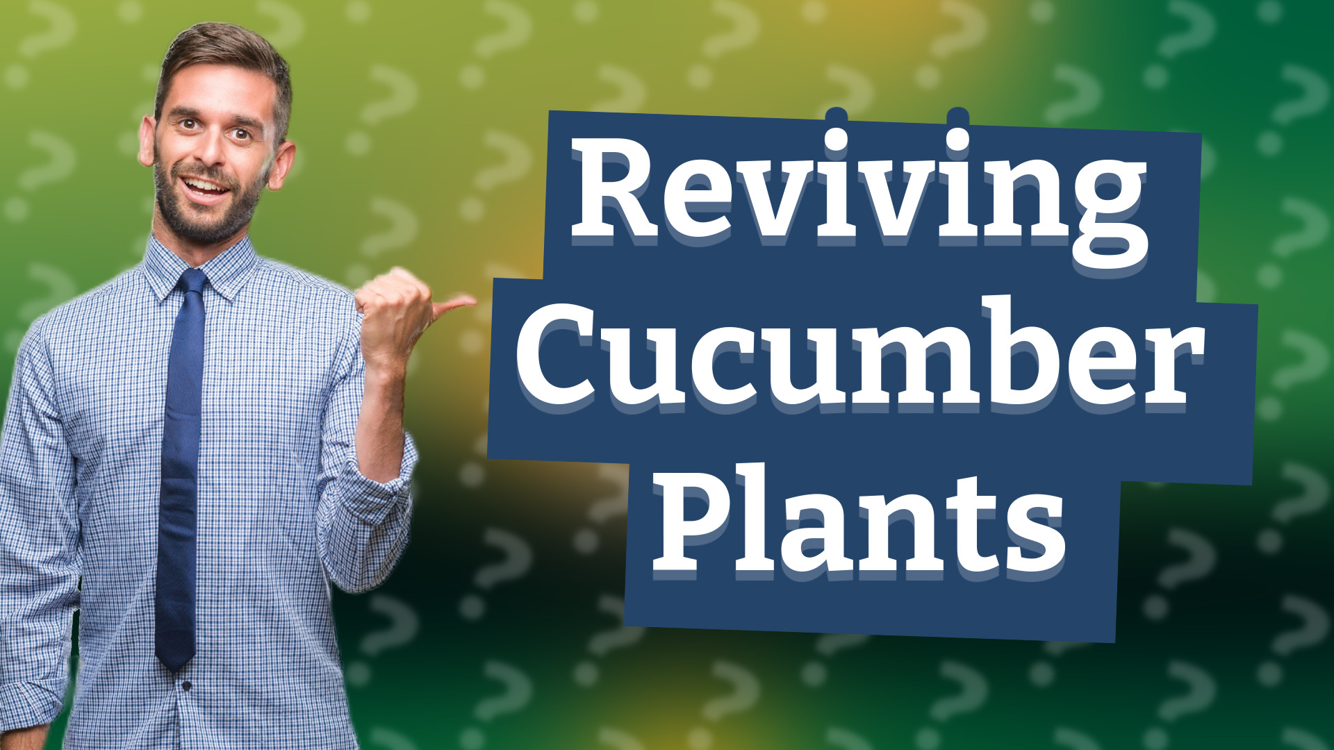 Reviving Cucumber Plants