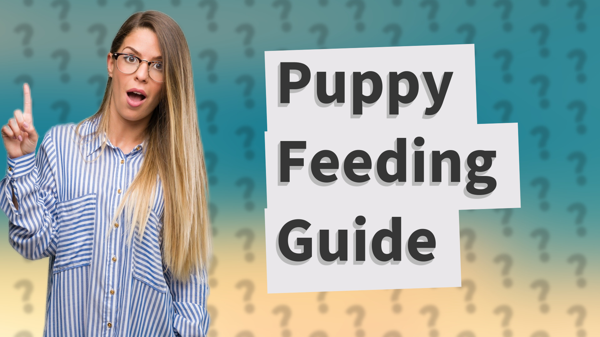 Puppy Feeding Guide