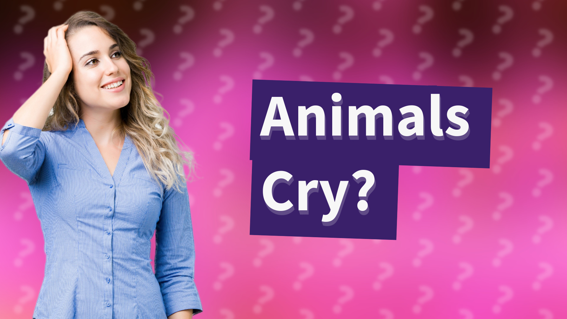 Animals Cry?