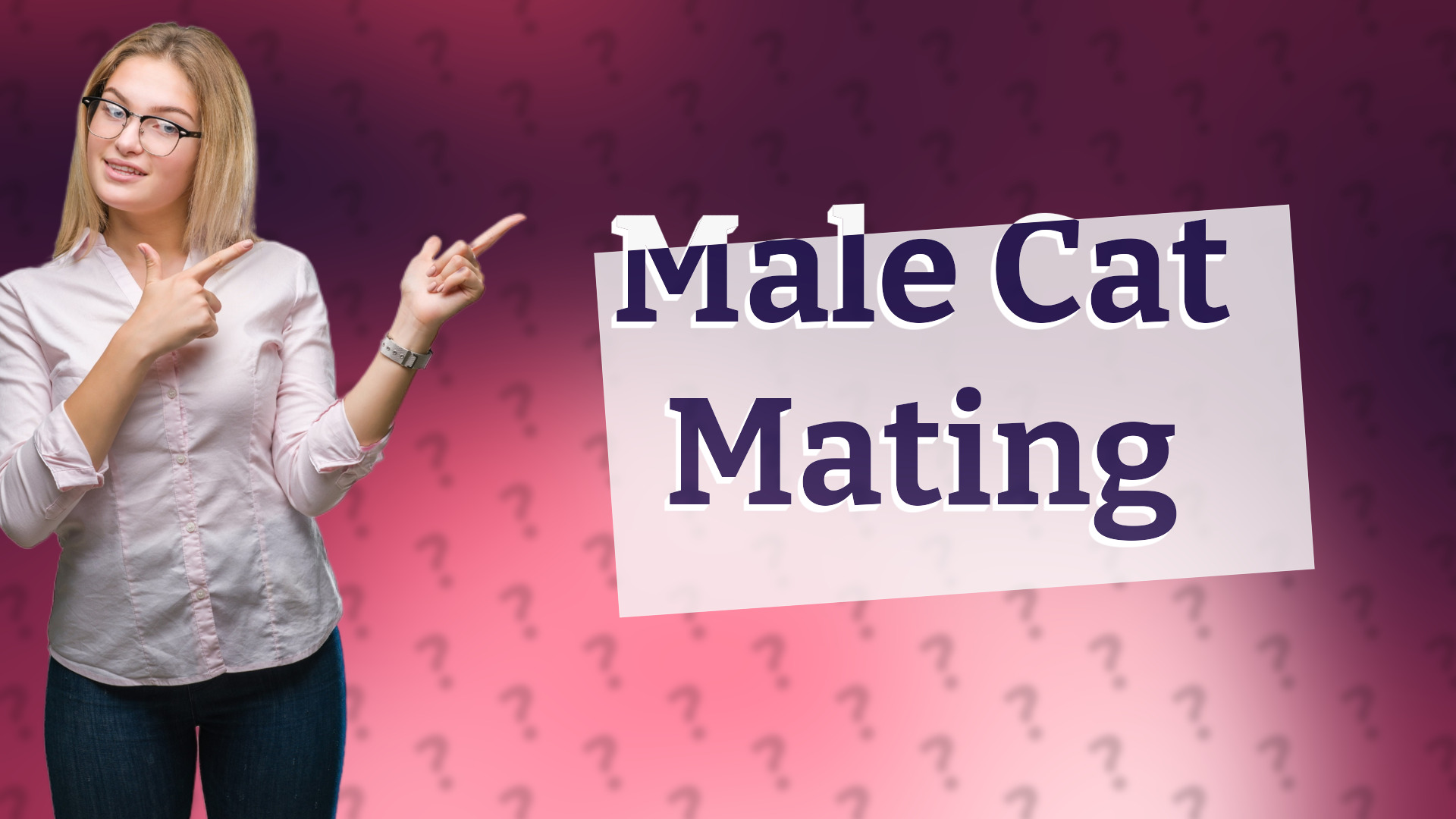 Male Cat Mating