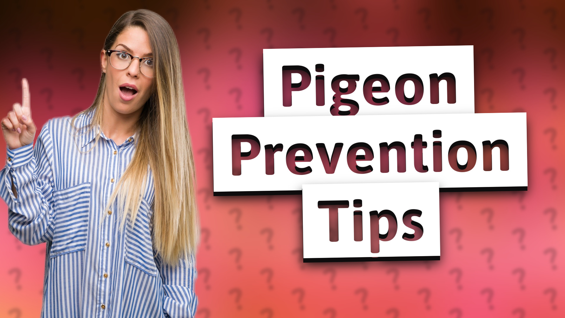 Pigeon Prevention Tips