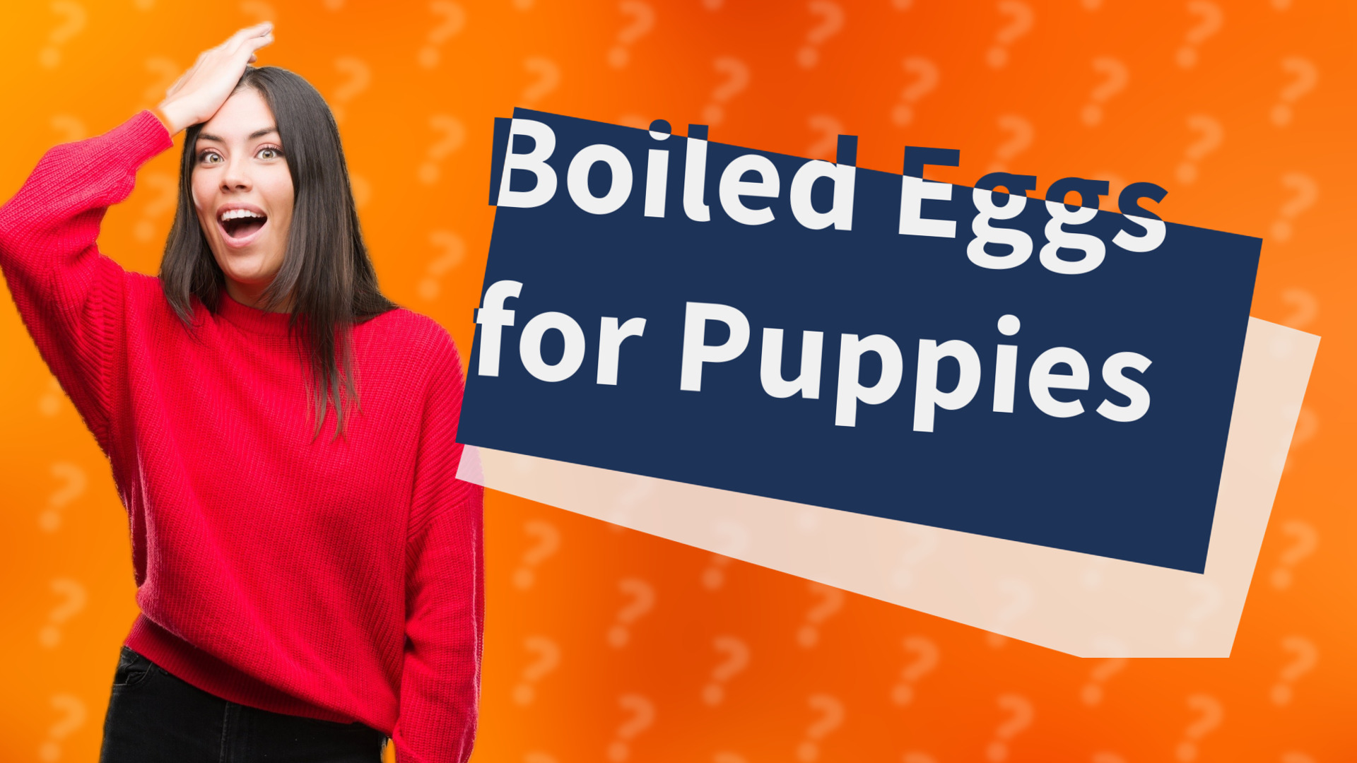 Boiled Eggs for Puppies