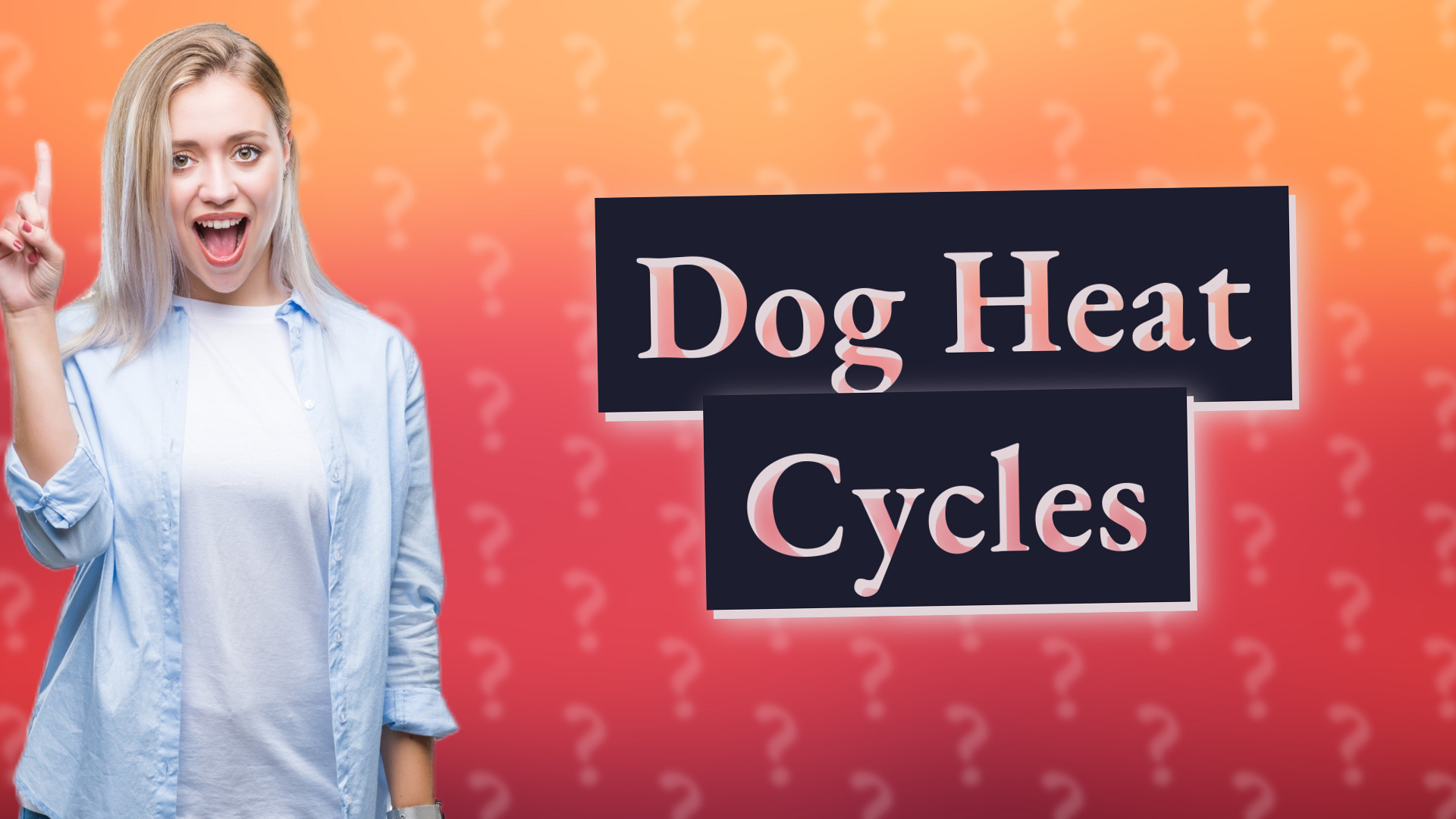 Dog Heat Cycles