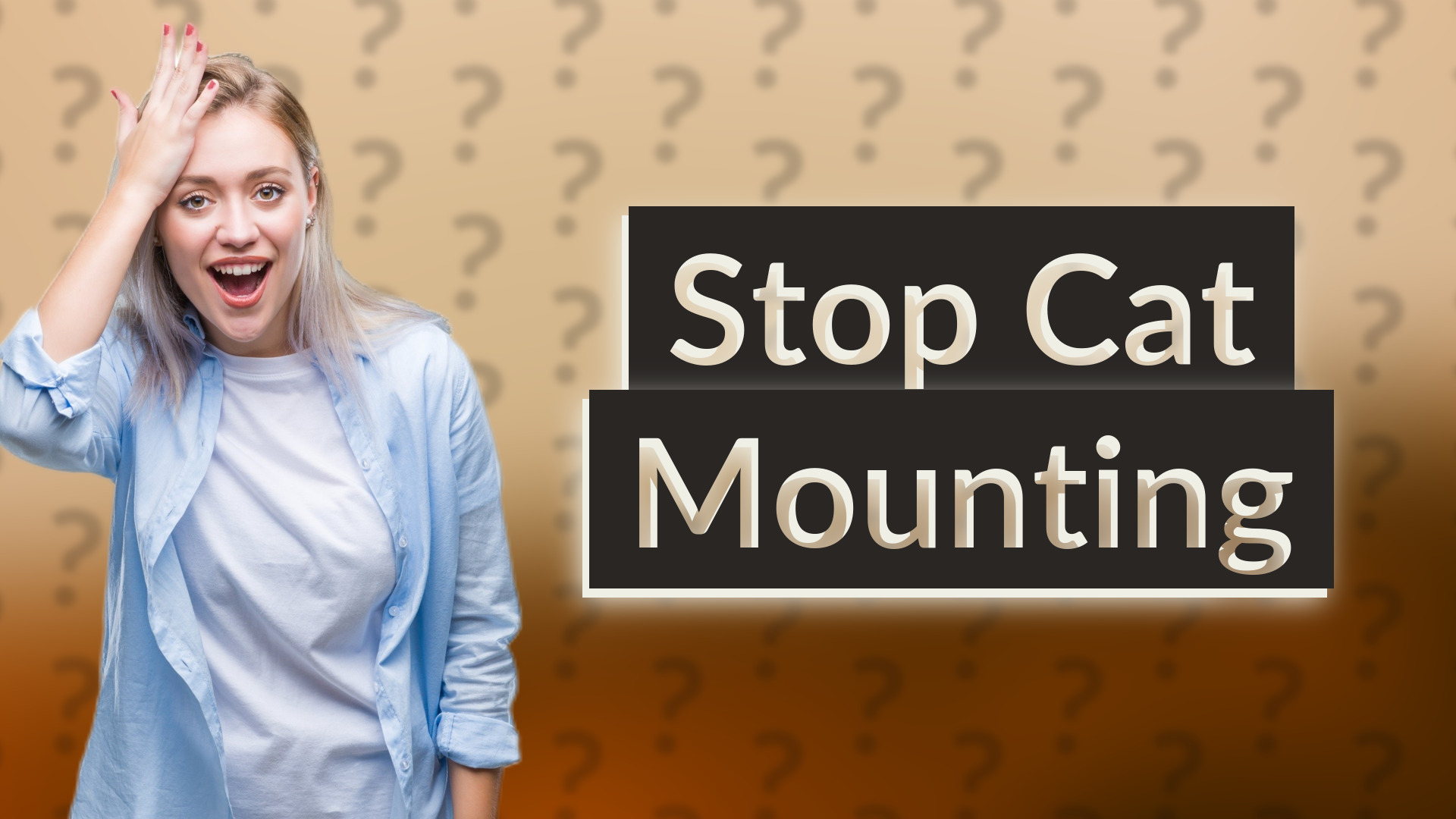 Stop Cat Mounting