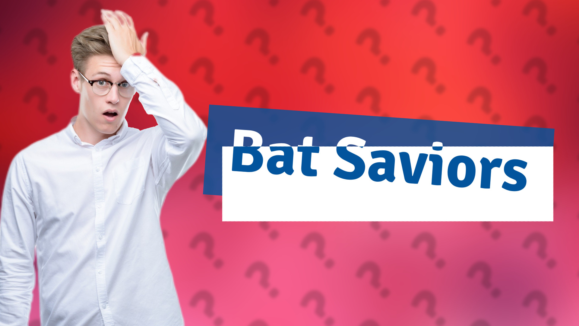Bat Saviors