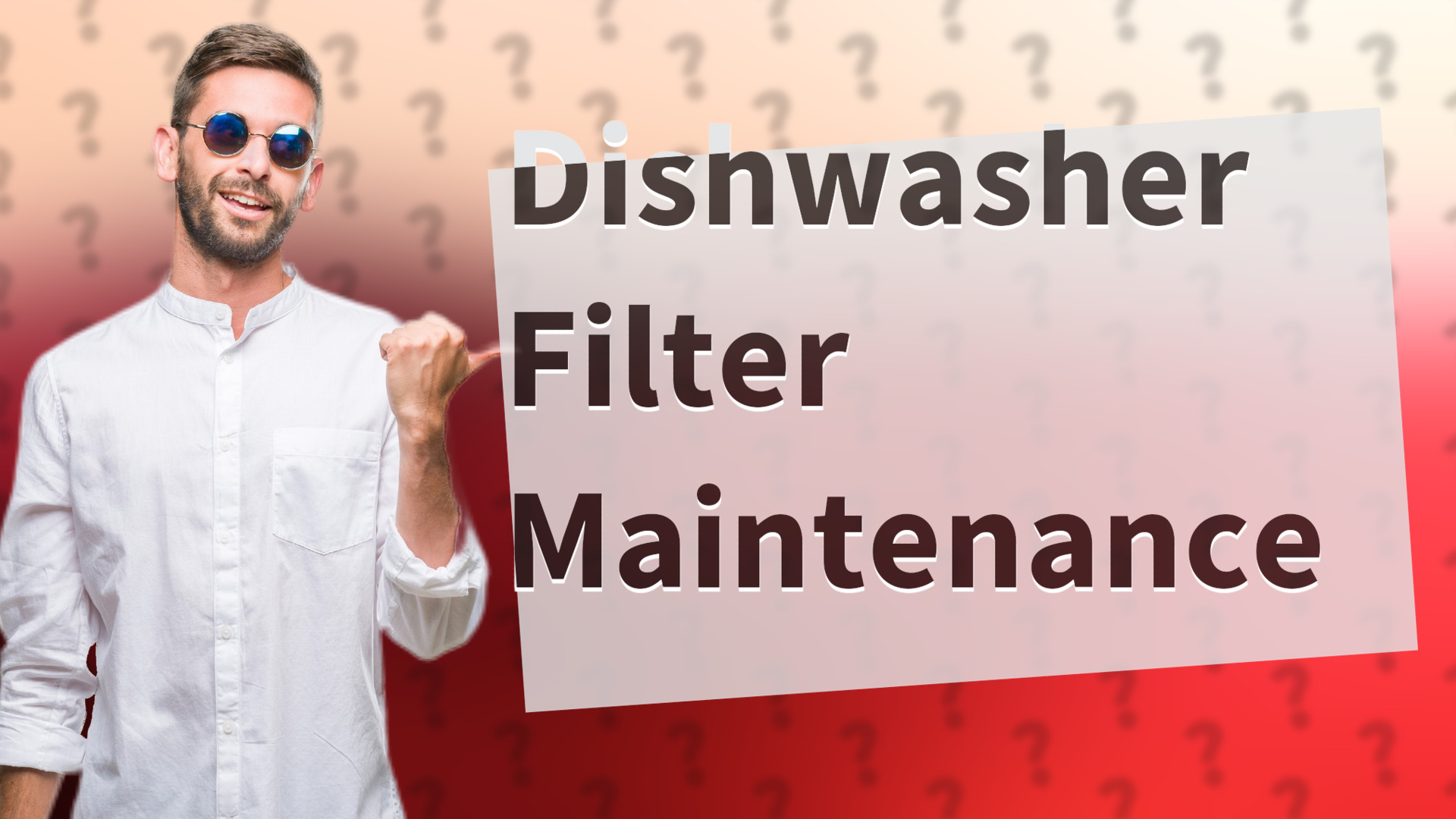 Dishwasher Filter Maintenance