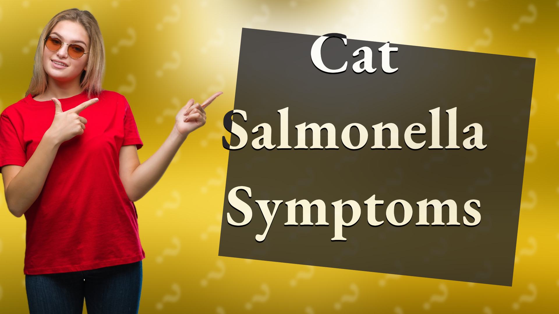 Cat Salmonella Symptoms