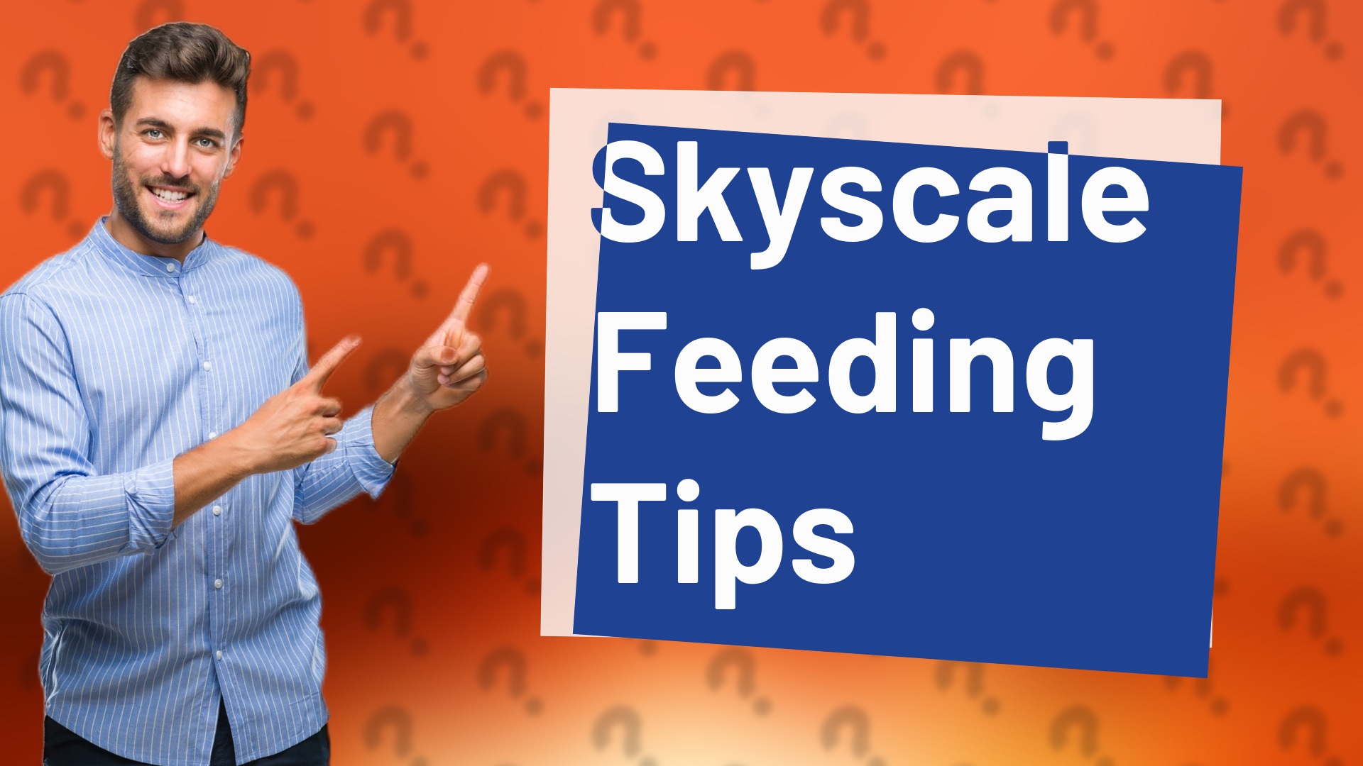Skyscale Feeding Tips