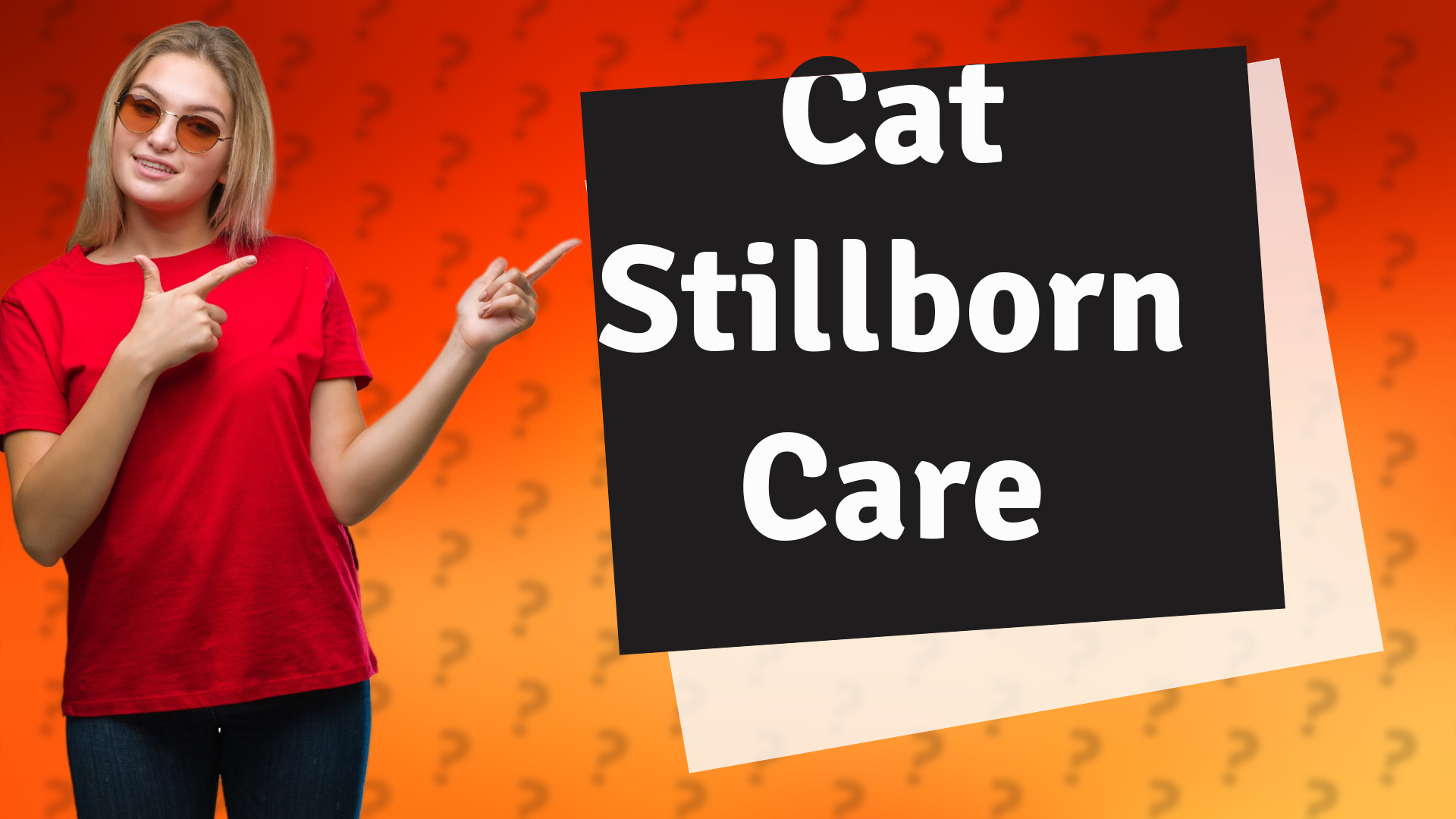 Cat Stillborn Care
