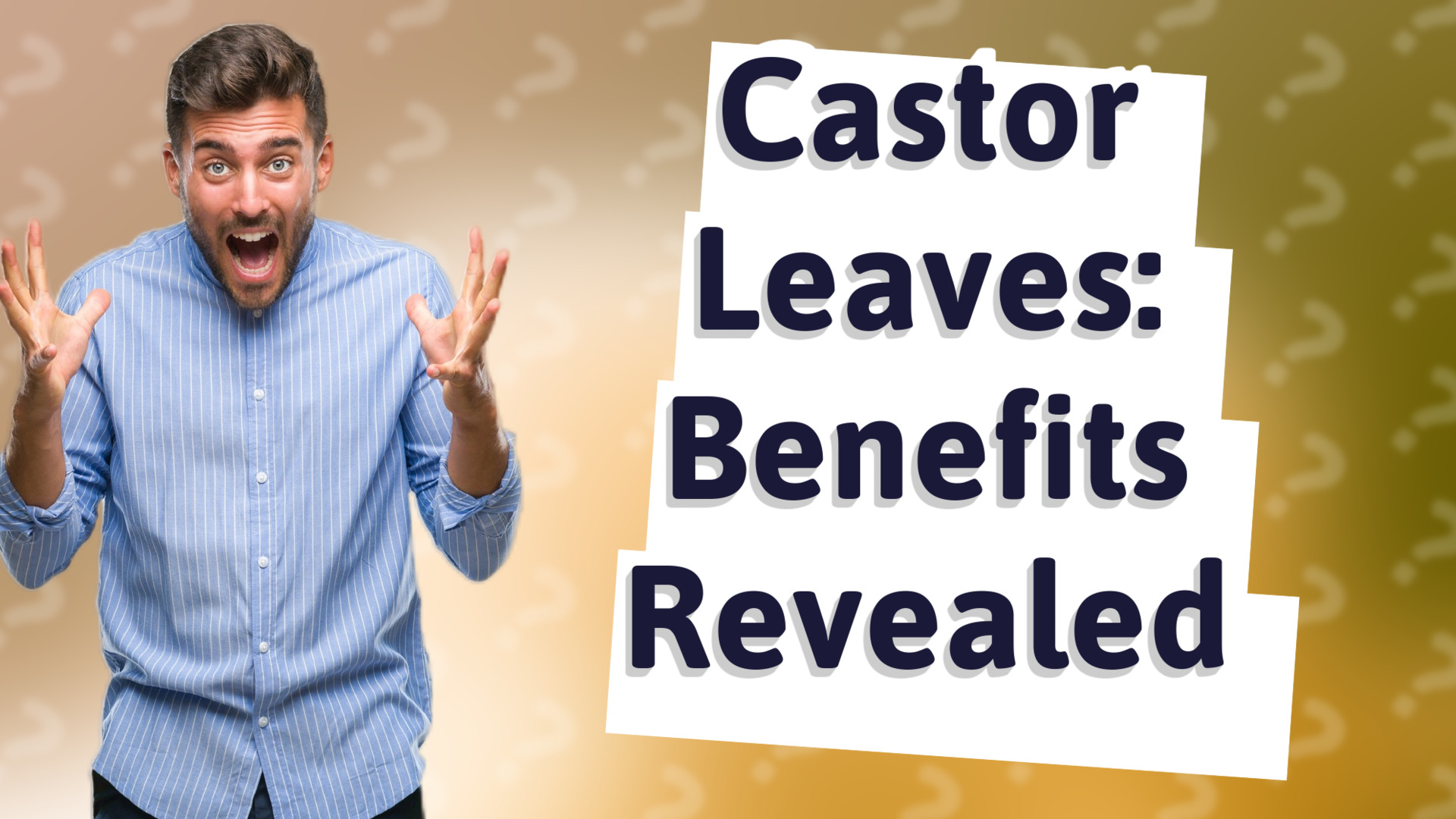 Castor Leaves: Benefits Revealed