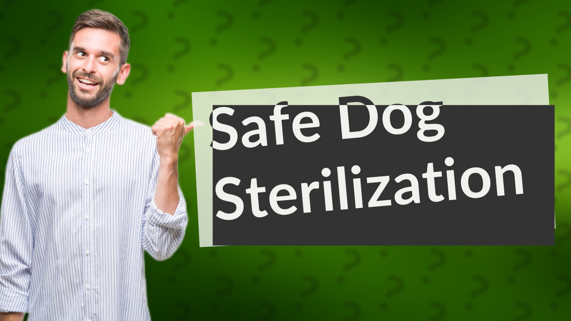 Safe Dog Sterilization